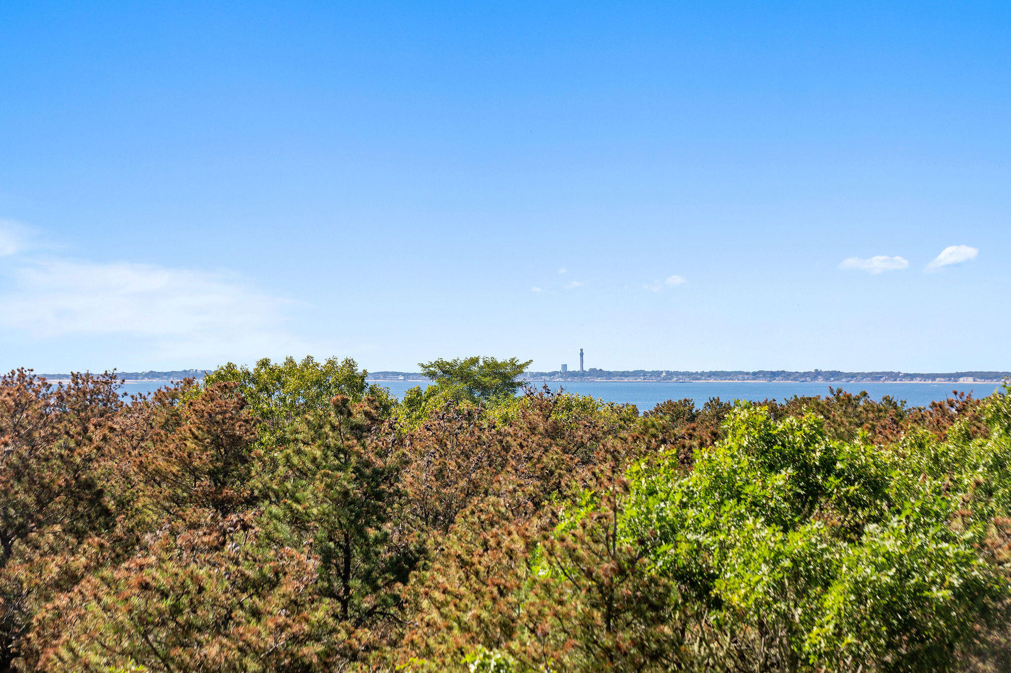 MLS #22504397 image #53