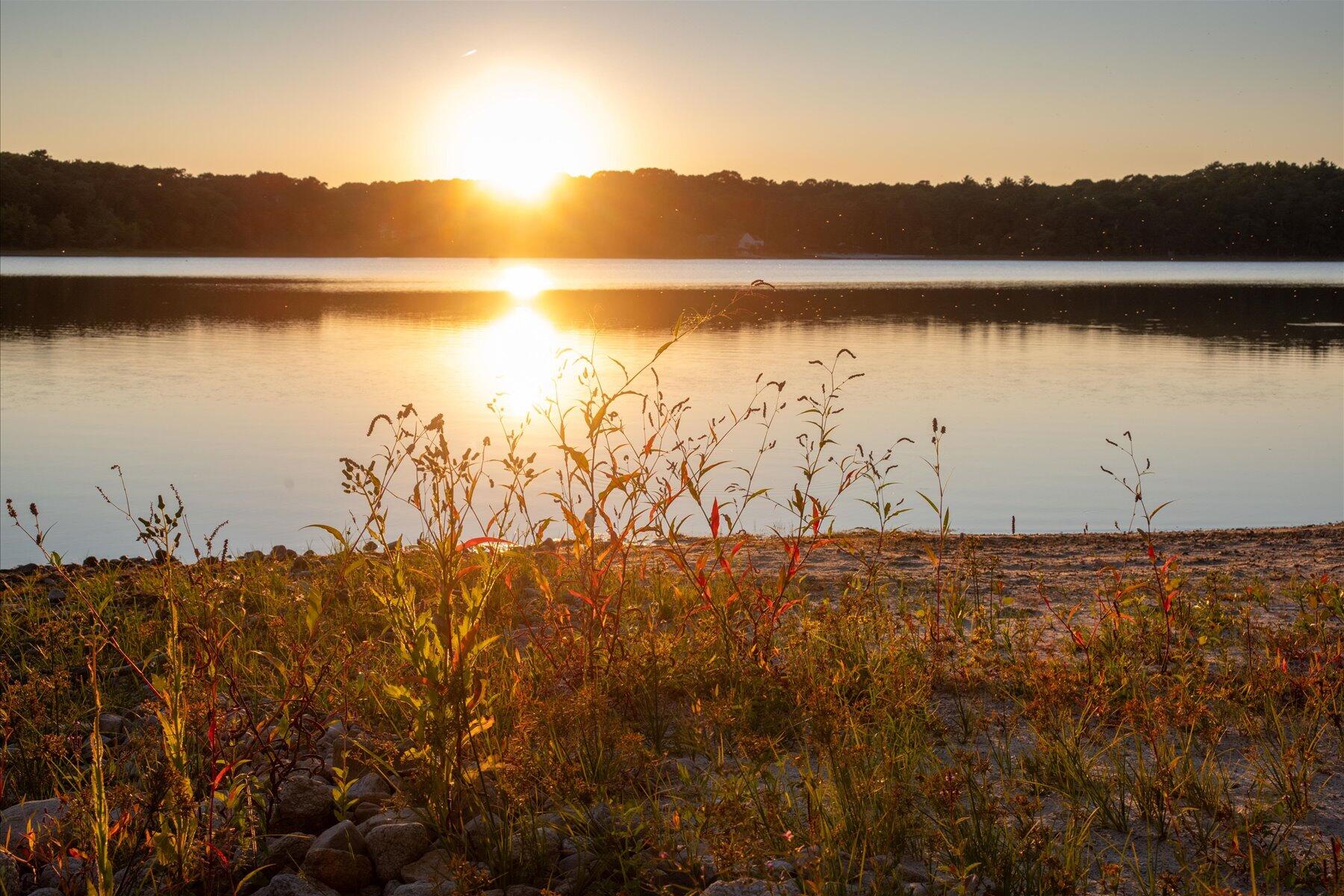 MLS #22504412 image #36