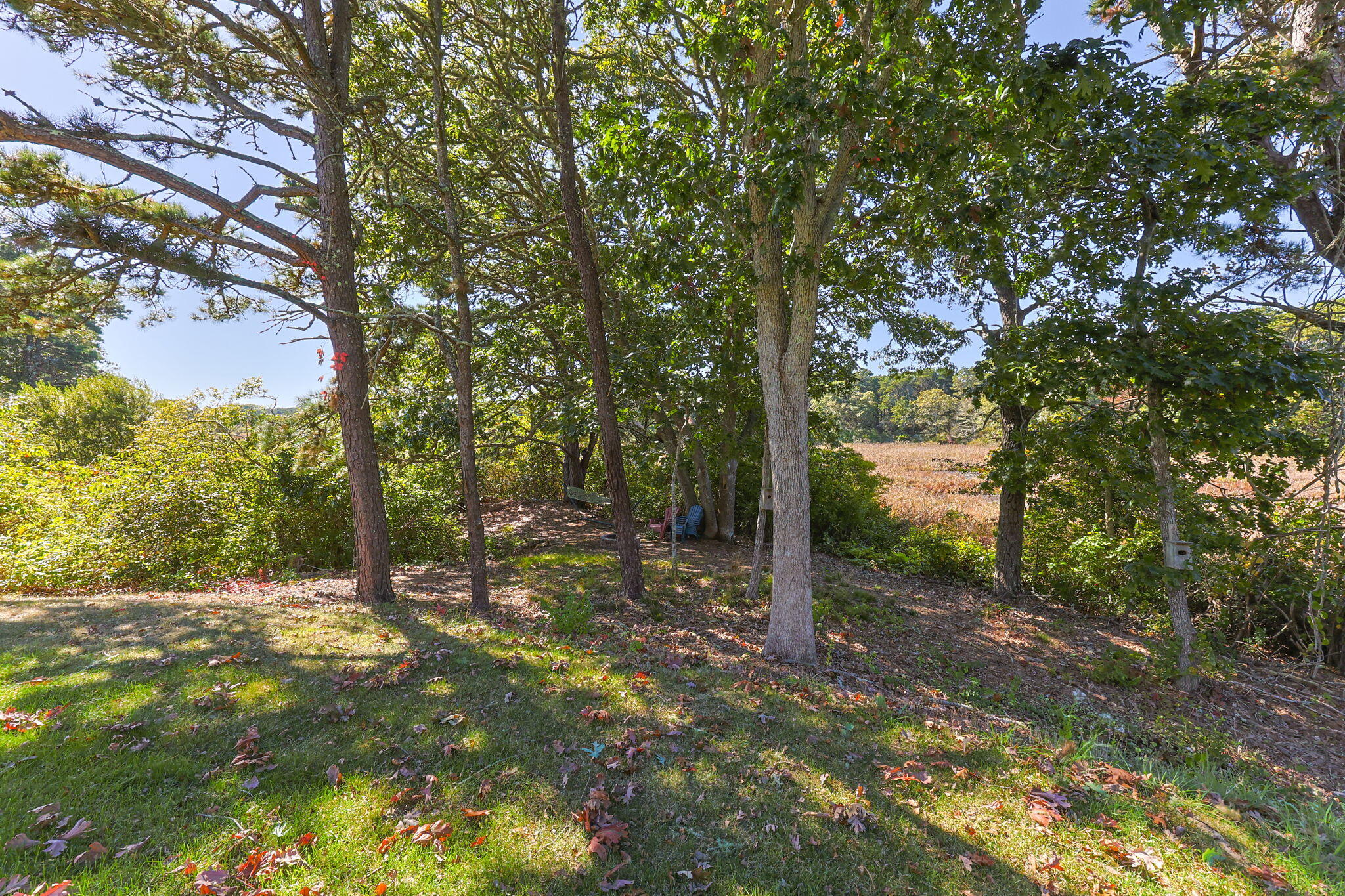 MLS #22504974 image #20