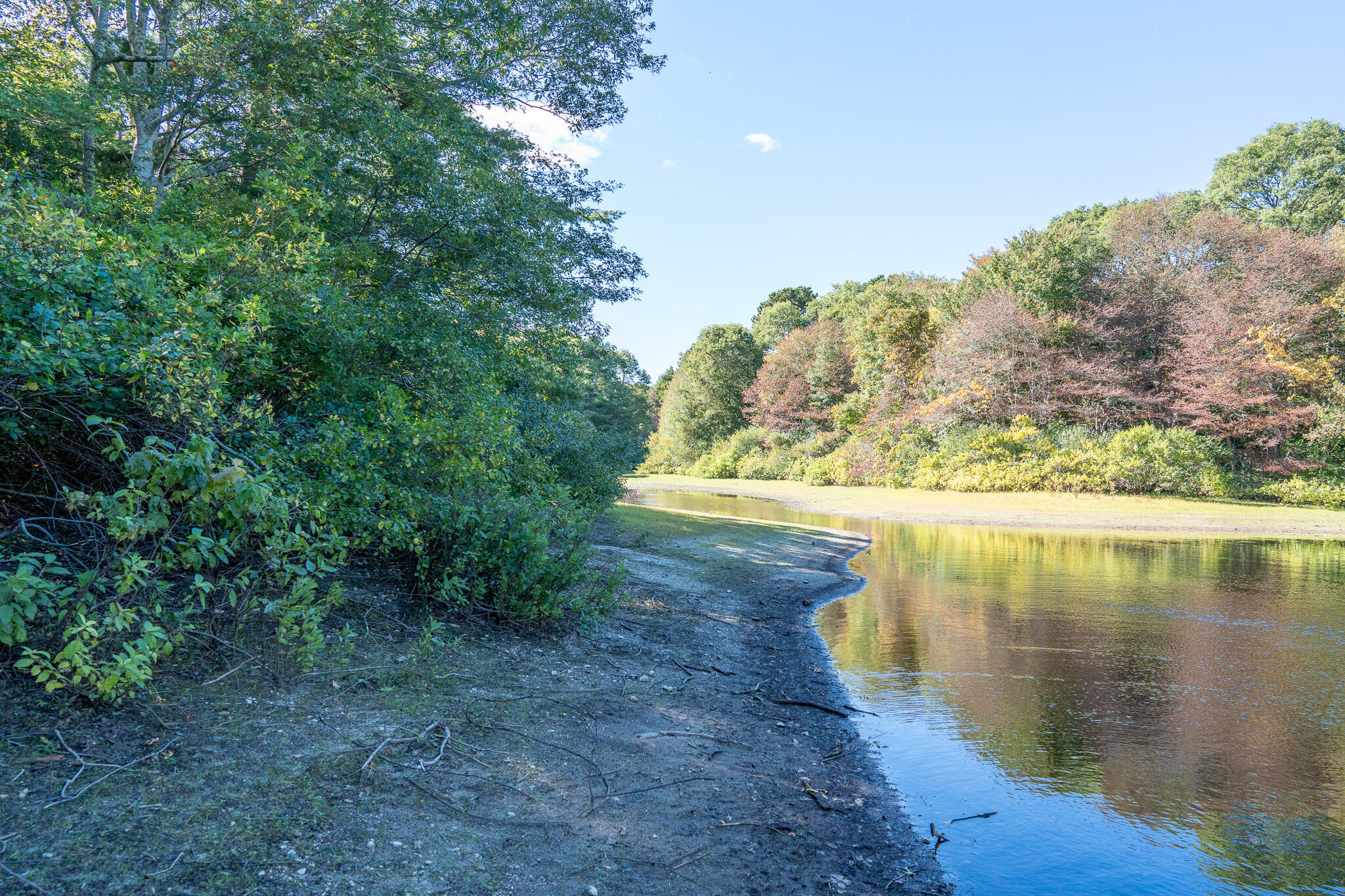 MLS #22505188 image #7