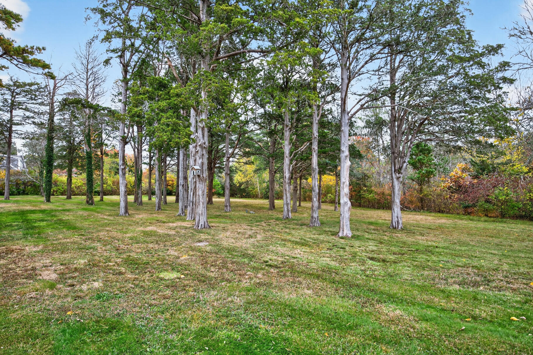 MLS #22505259 image #36