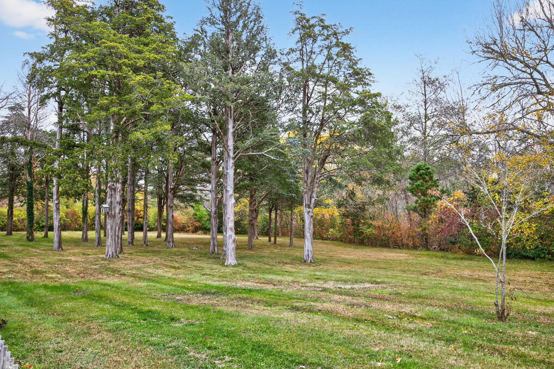 MLS #22505259 image #8