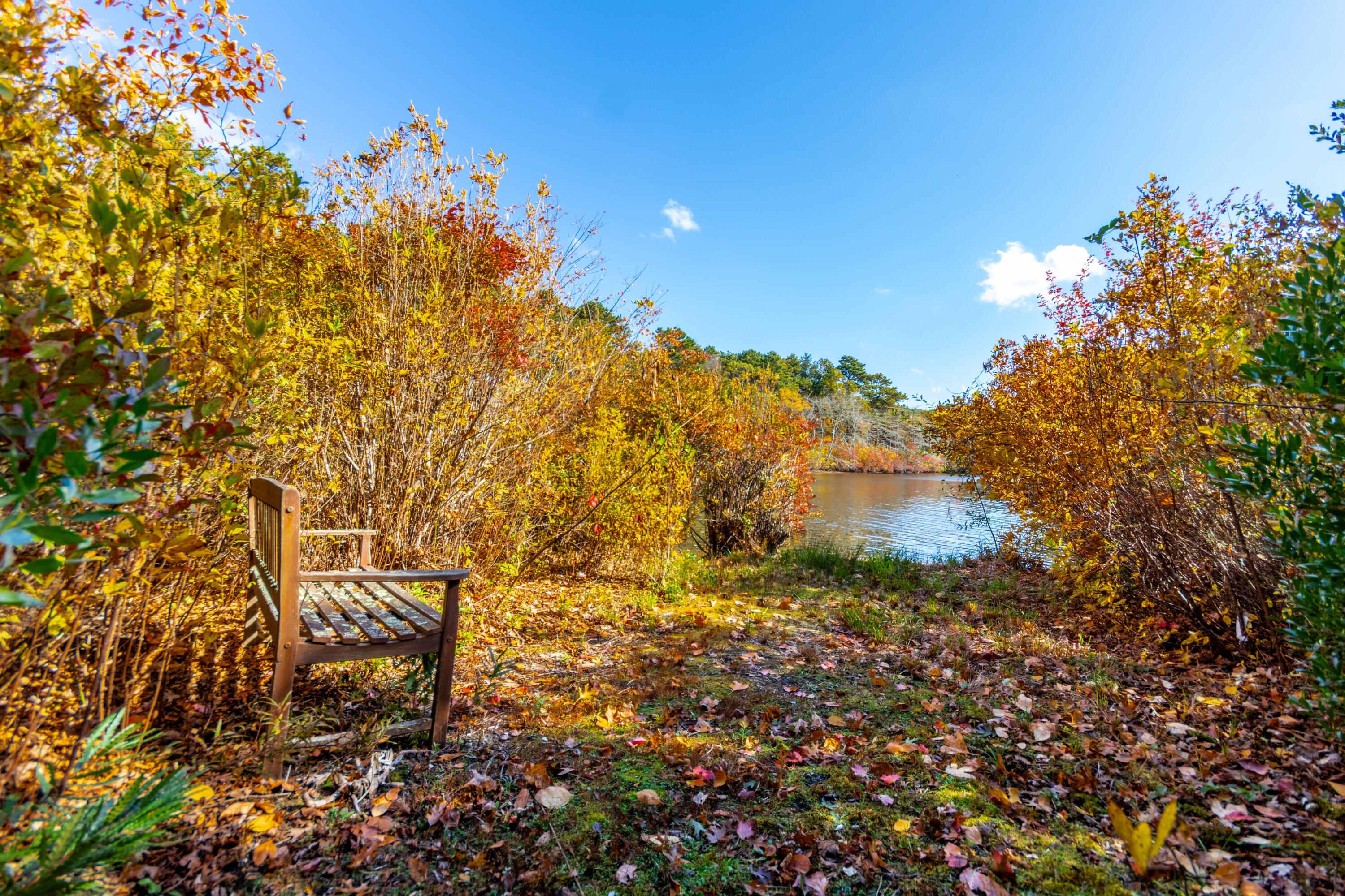 MLS #22505356 image #30