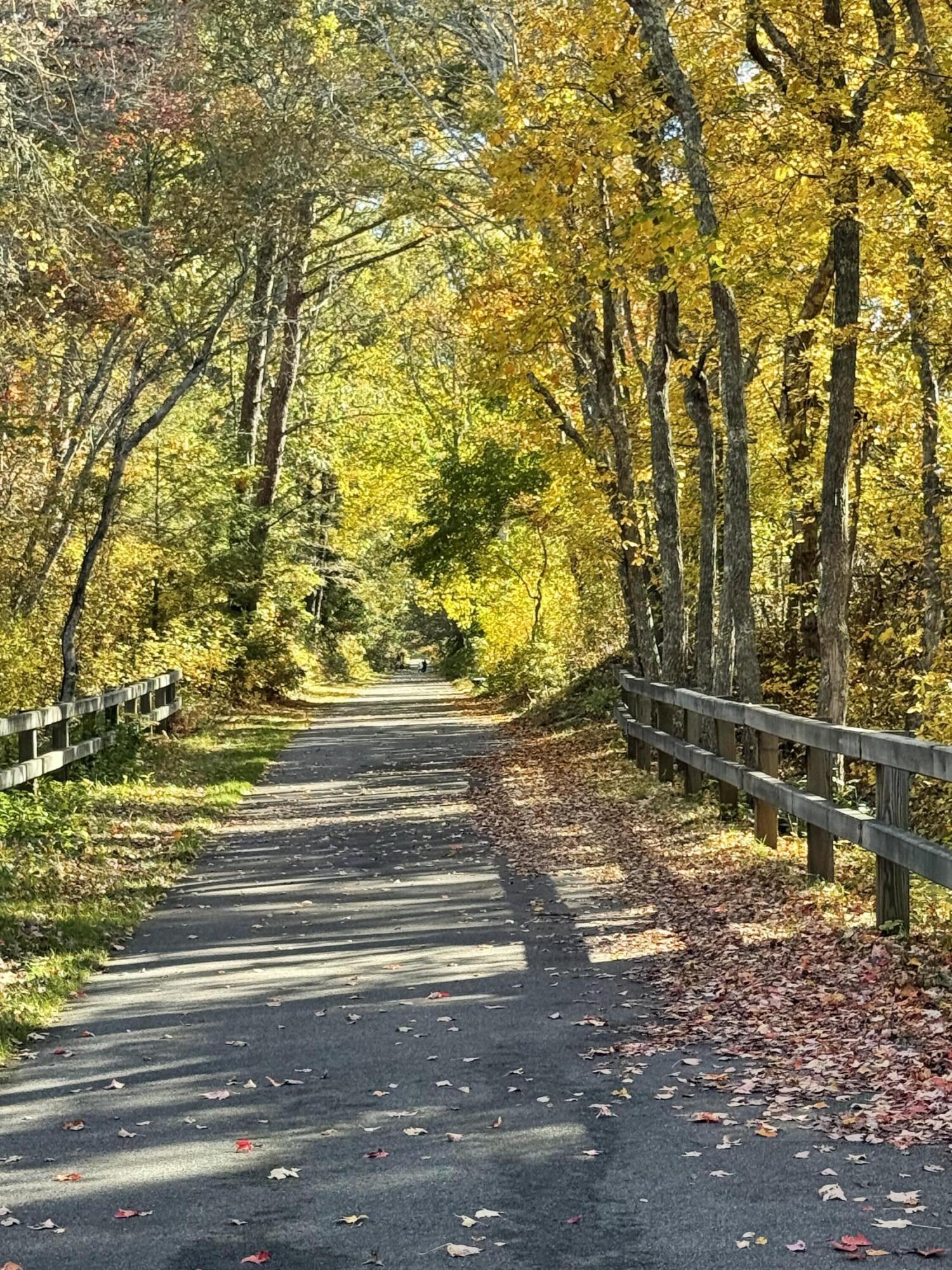 MLS #22505357 image #22