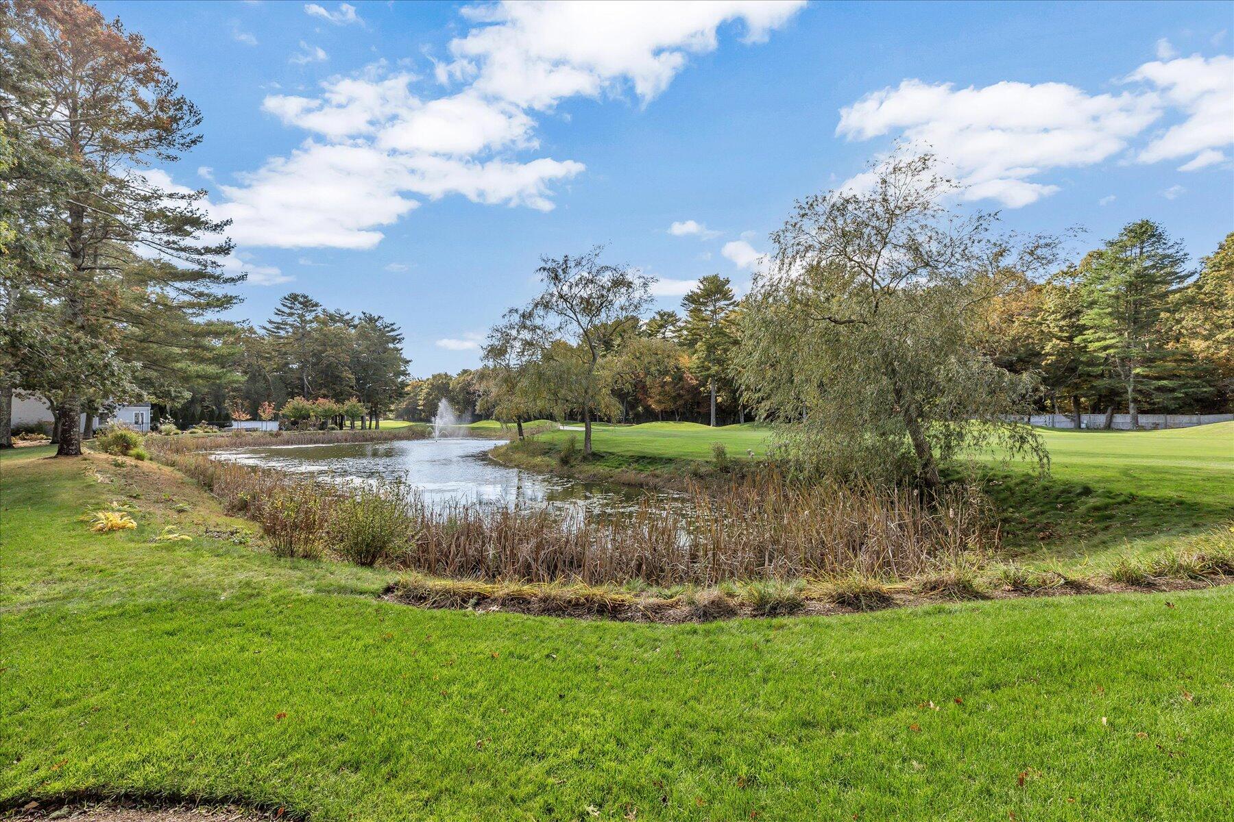 MLS #22505368 image #55