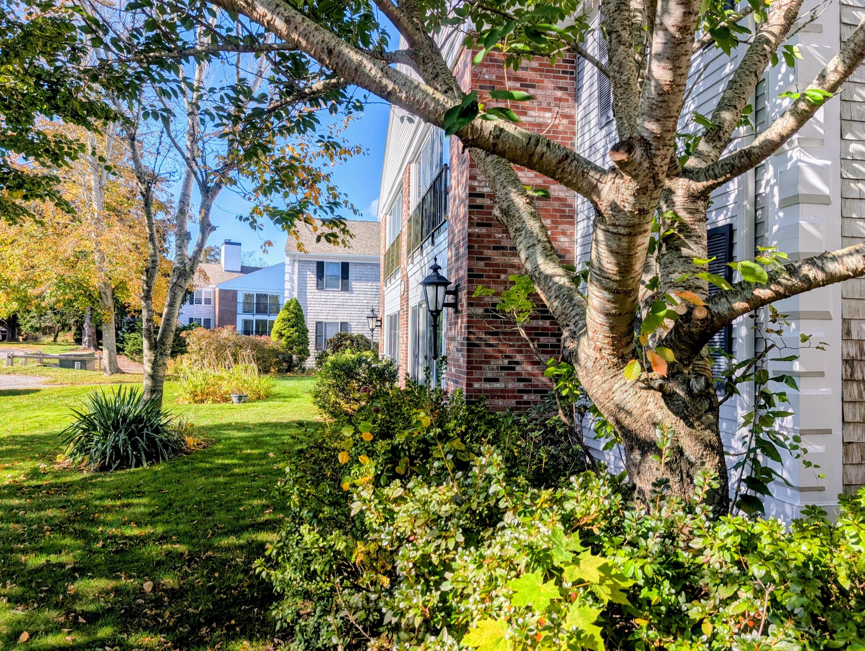 MLS #22505399 image #32