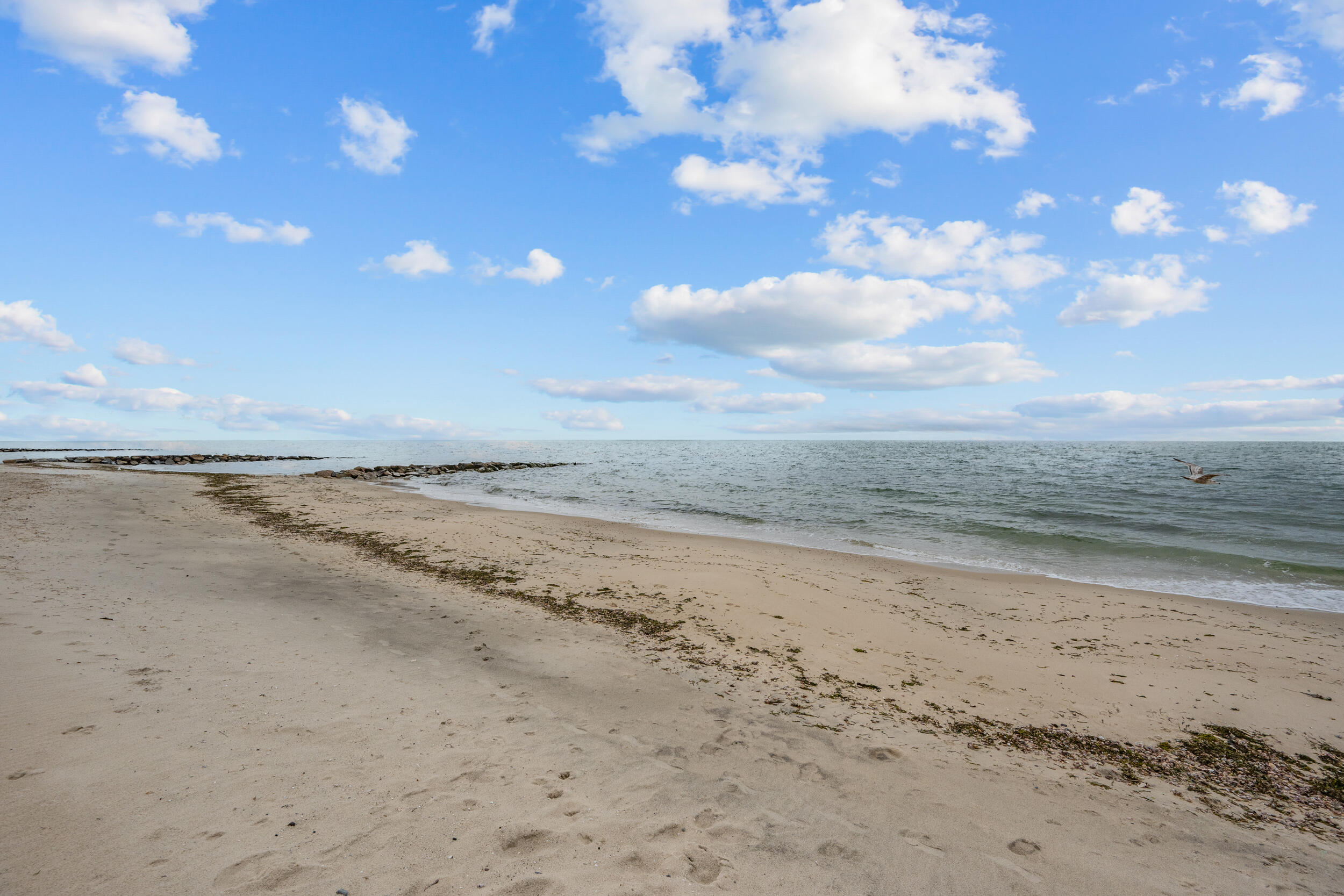 MLS #22505442 image #31