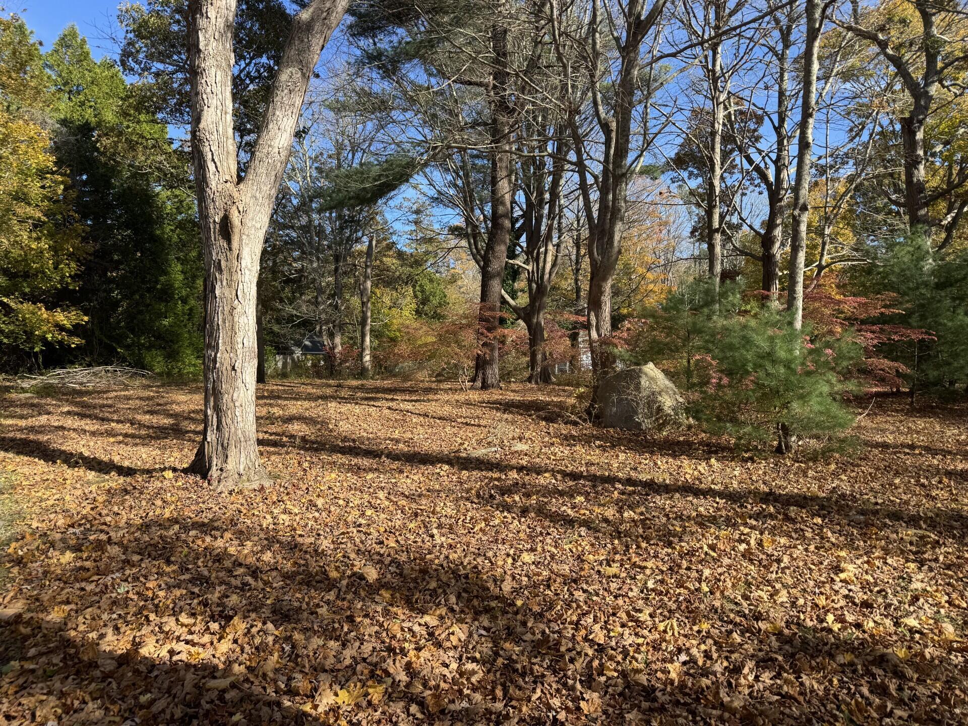 MLS #22505470 image #1