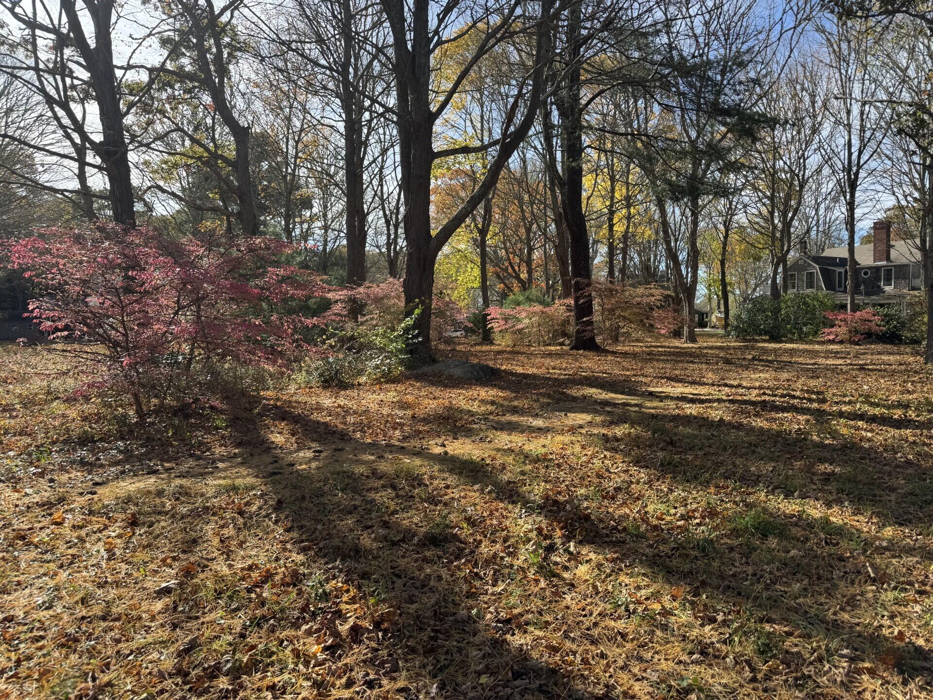 MLS #22505470 image #2