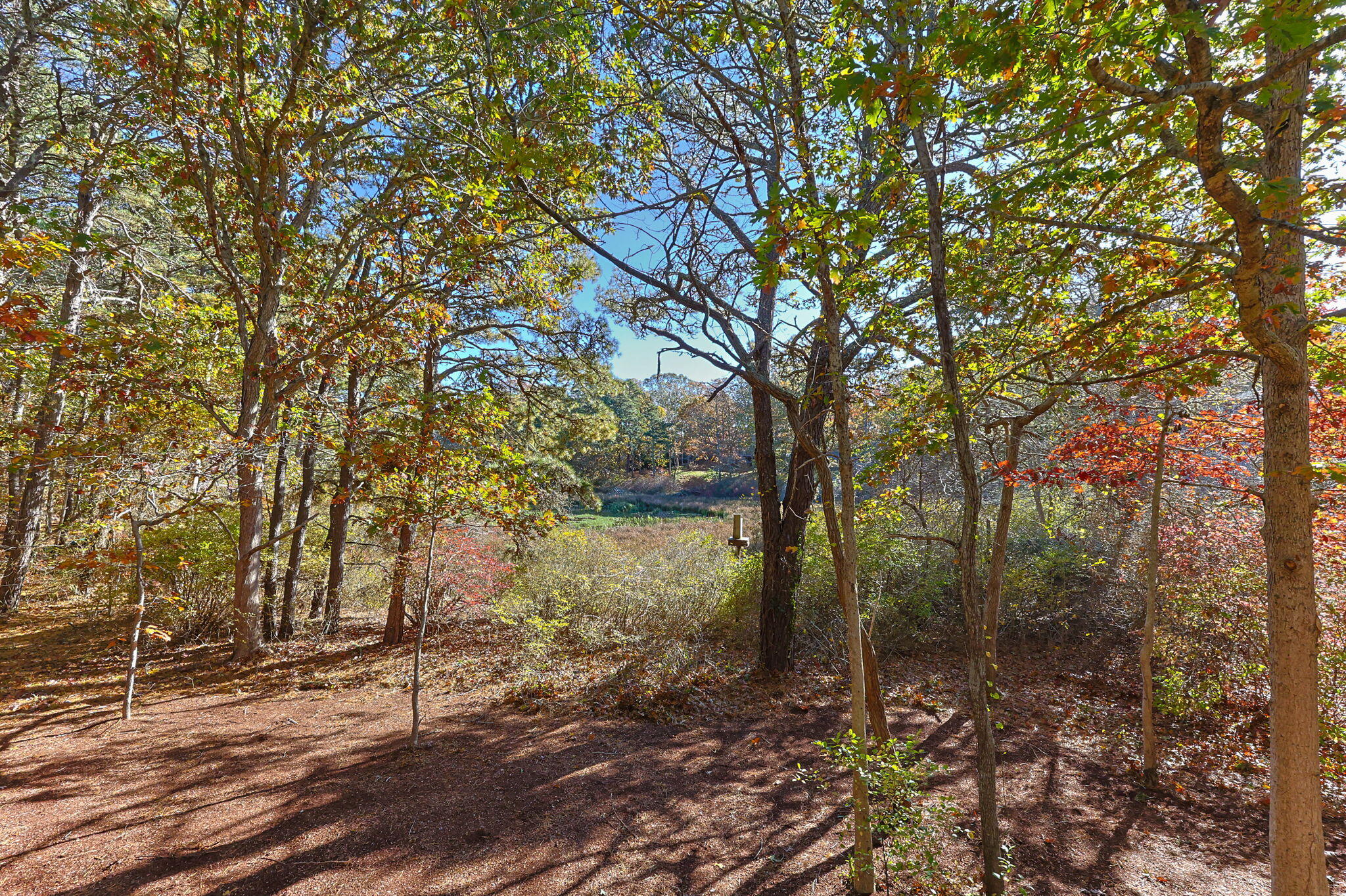 MLS #22505512 image #37