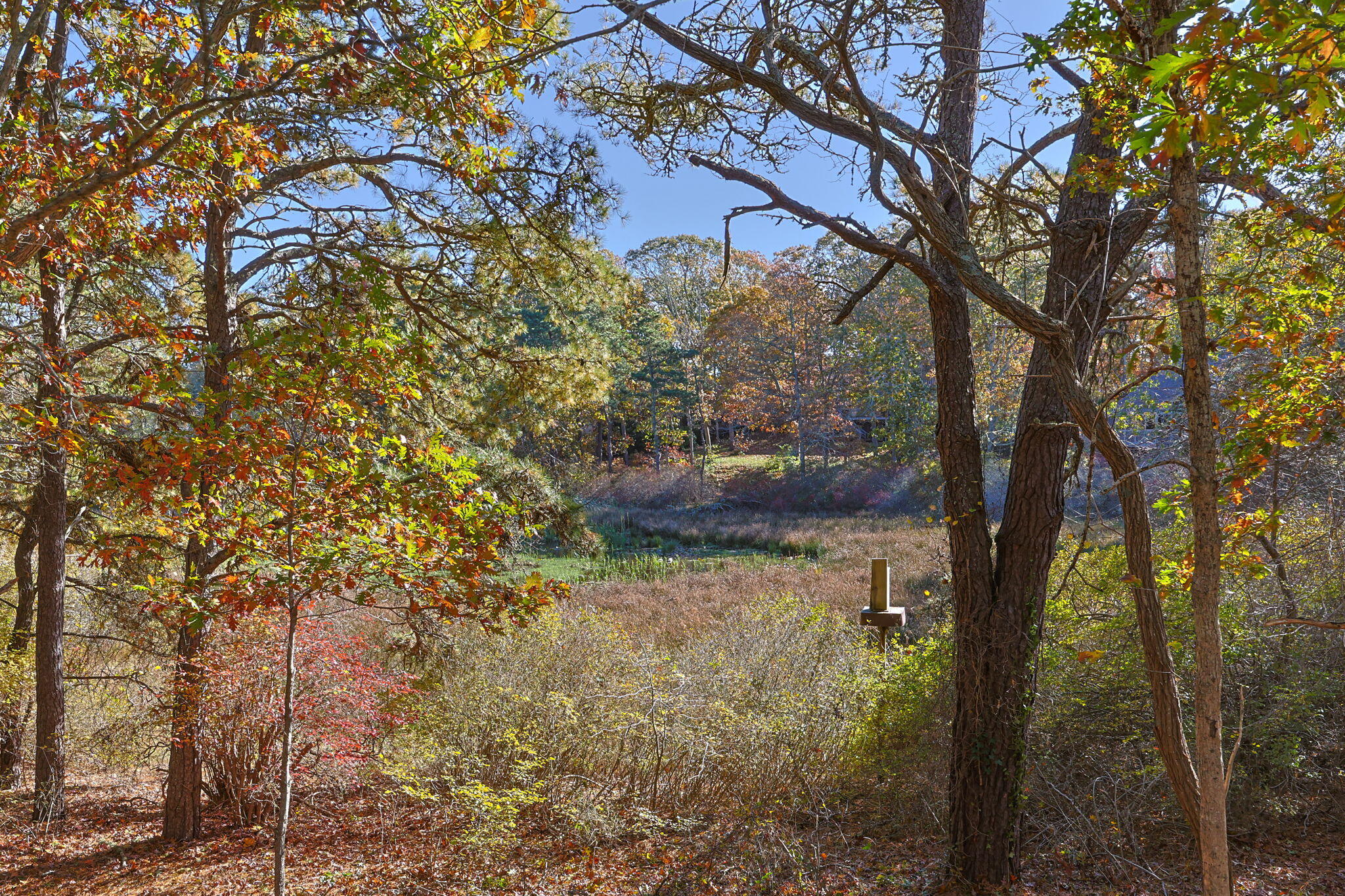 MLS #22505512 image #38