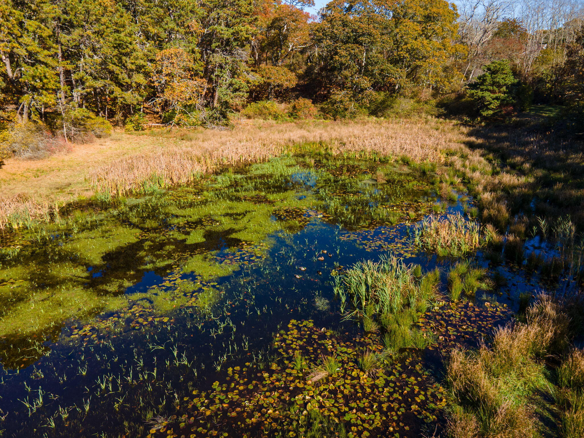 MLS #22505512 image #47