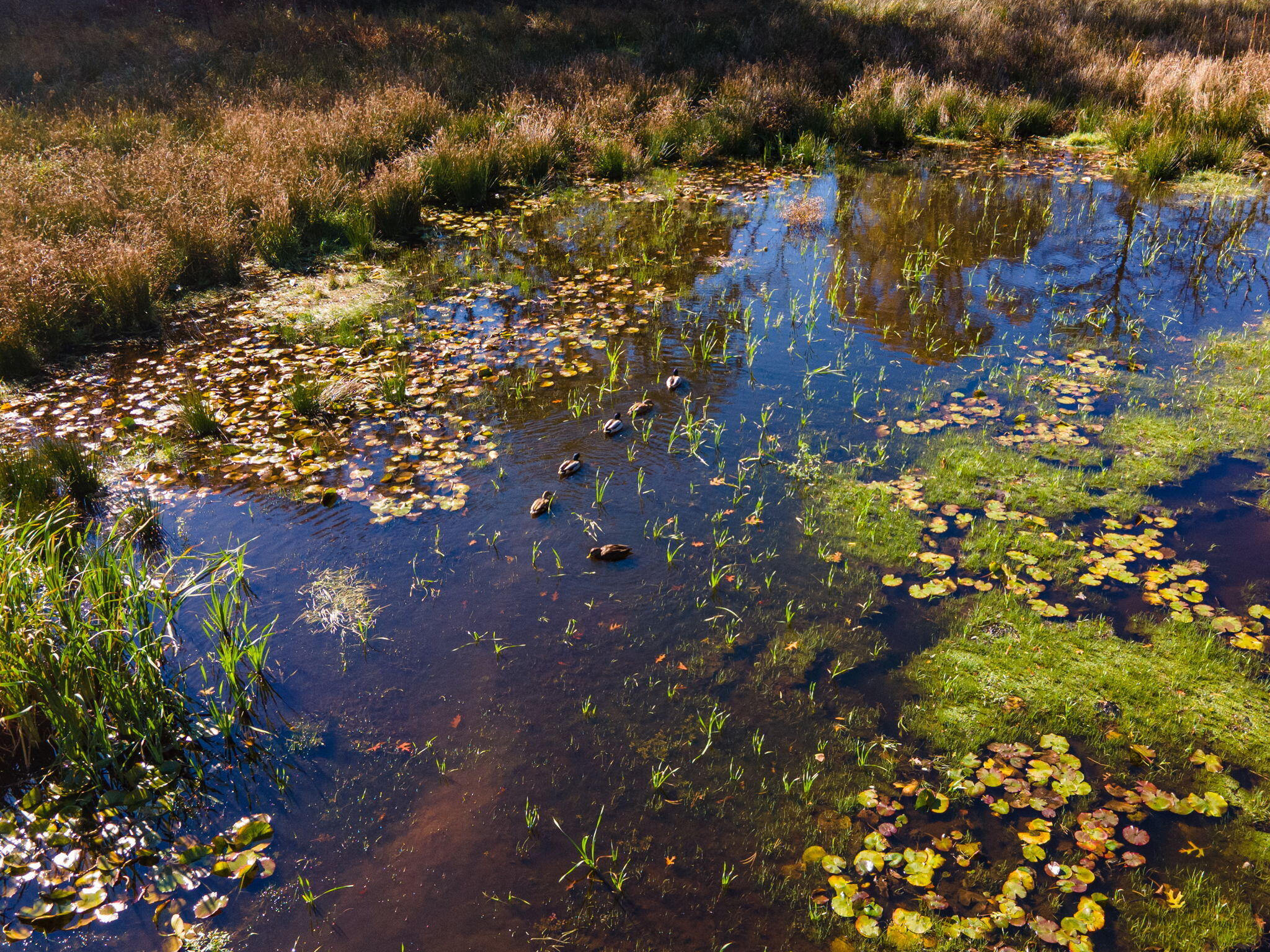 MLS #22505512 image #48