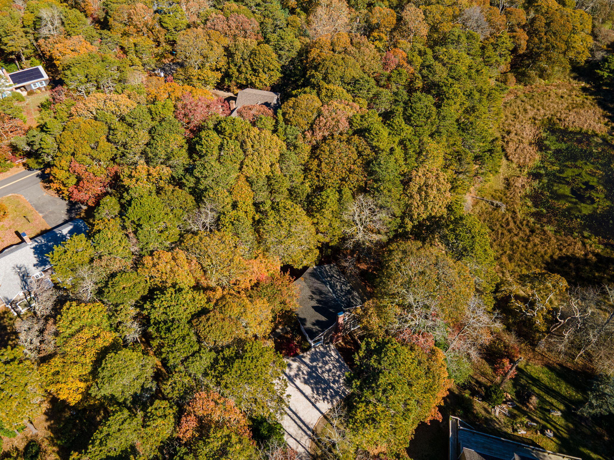 MLS #22505512 image #49