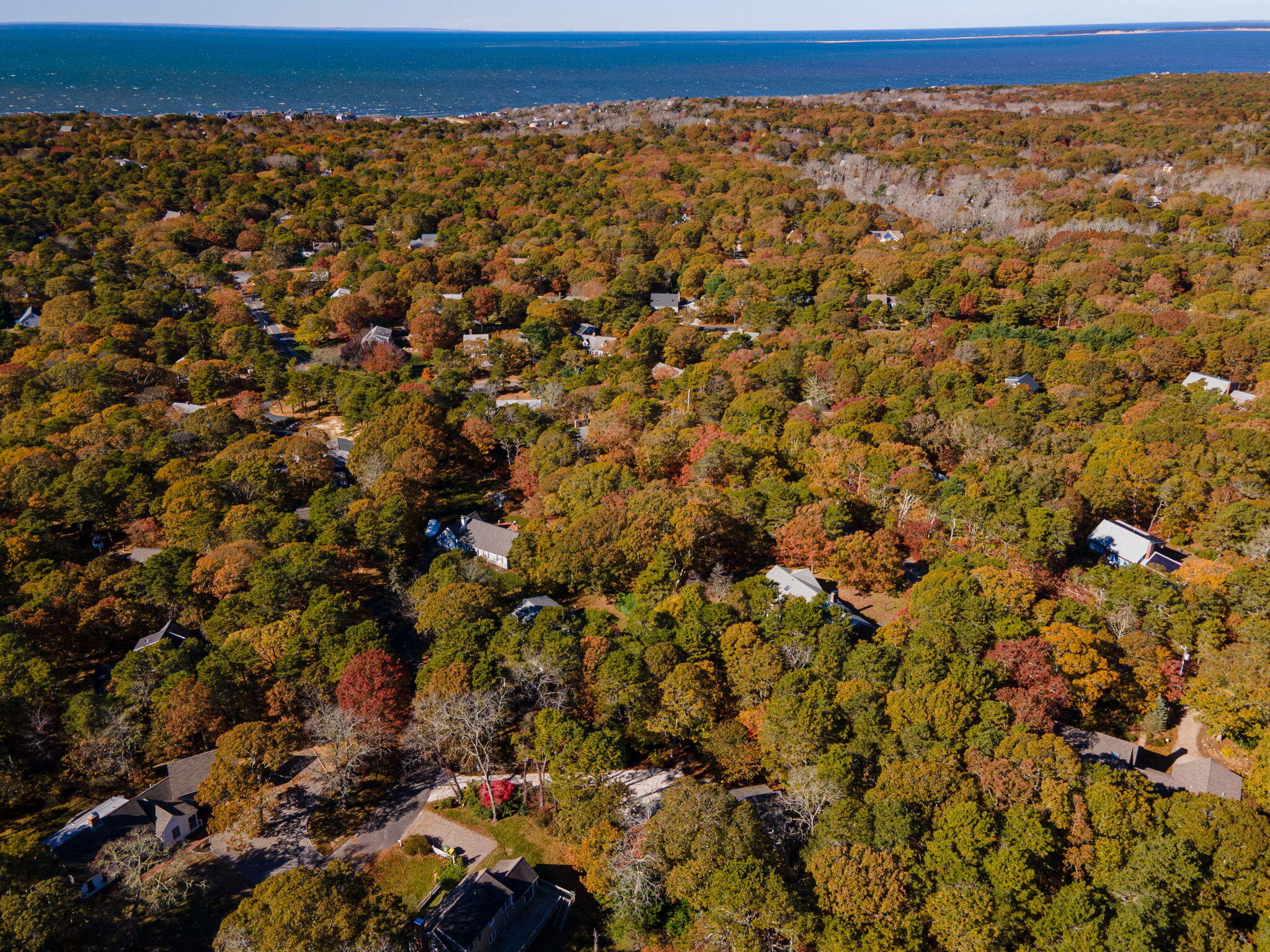 MLS #22505512 image #51