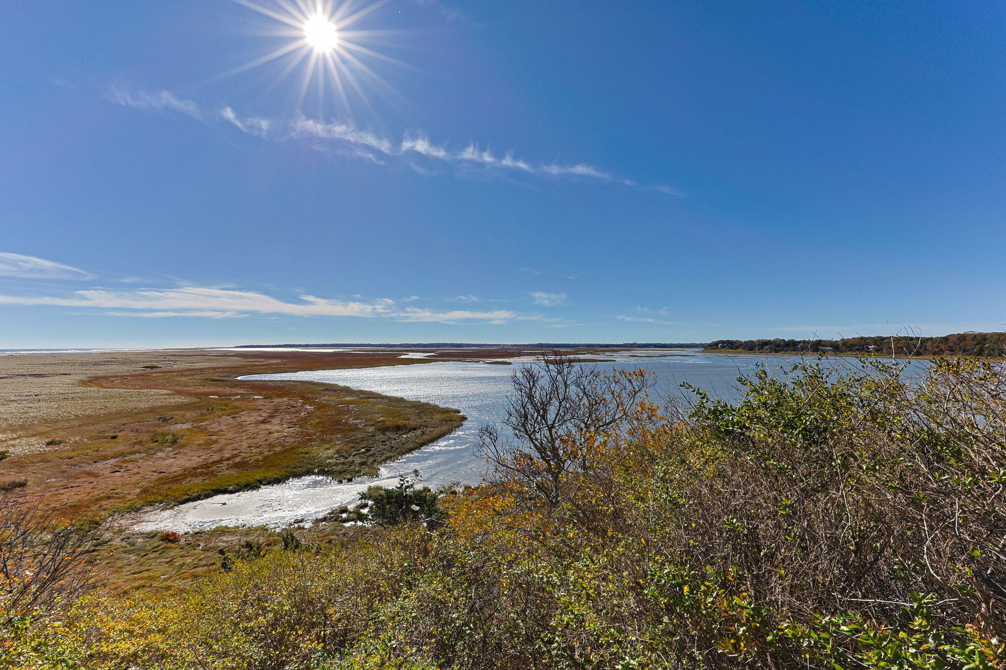 MLS #22505512 image #54