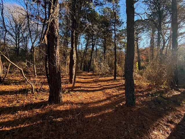 MLS #22505522 image #35