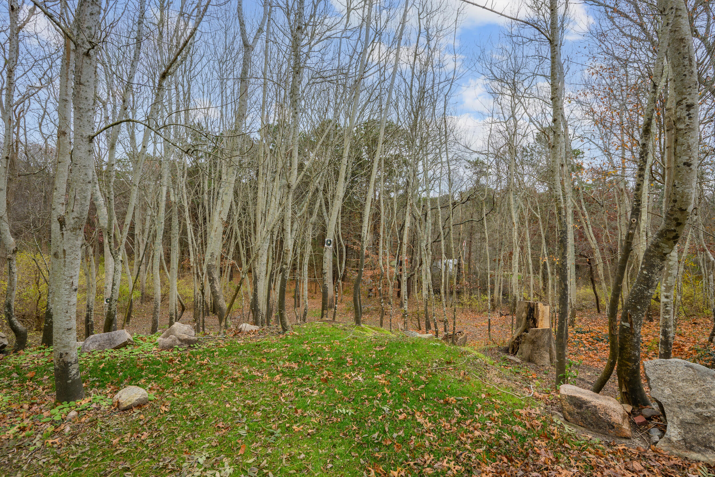 MLS #22505522 image #36