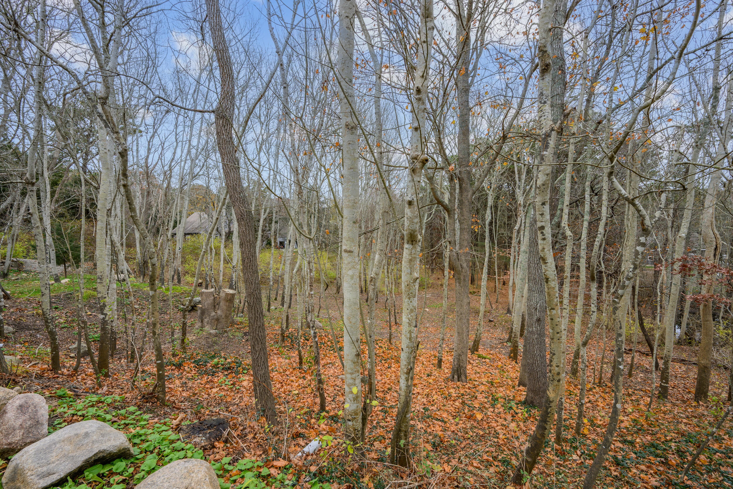 MLS #22505522 image #37