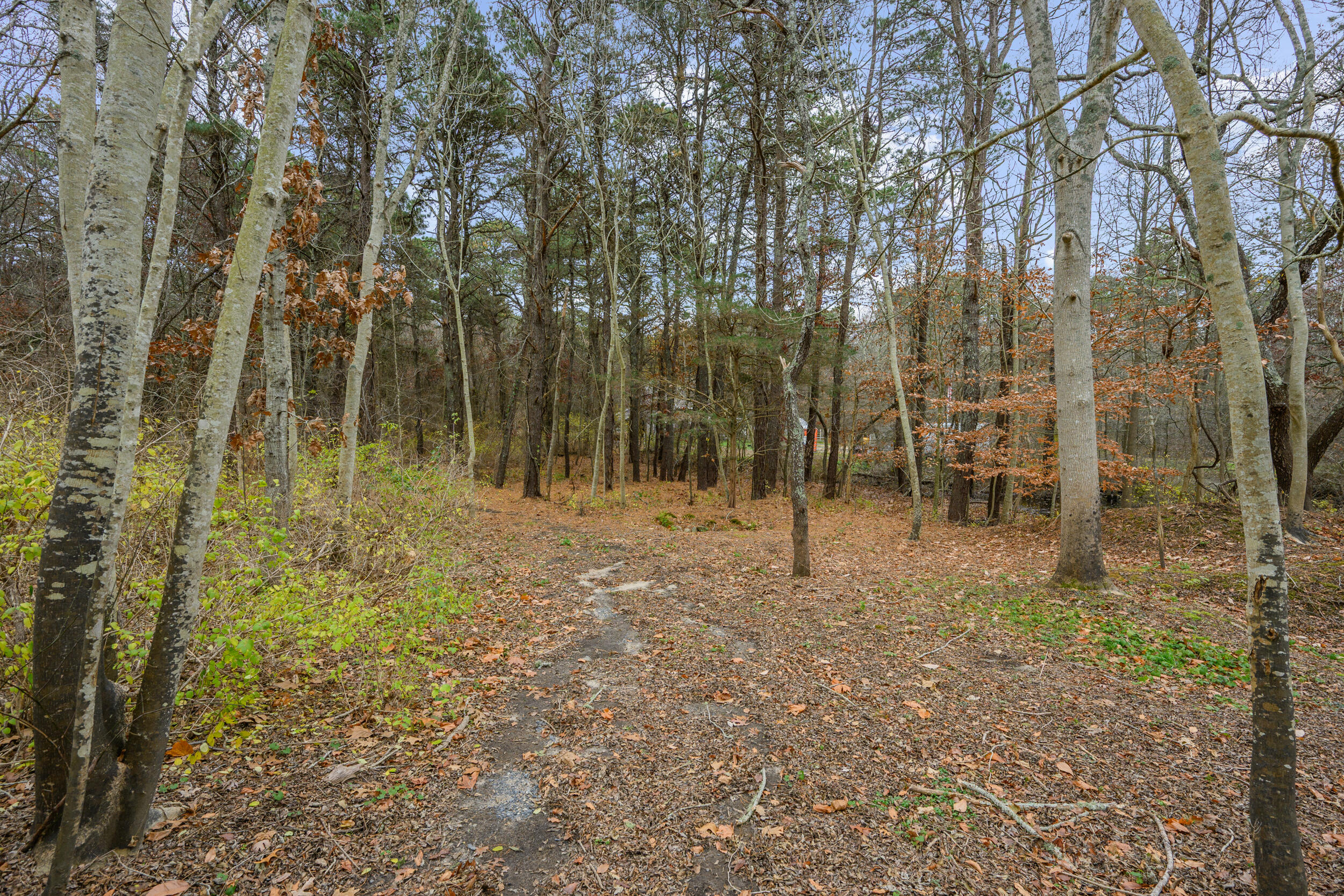 MLS #22505522 image #39