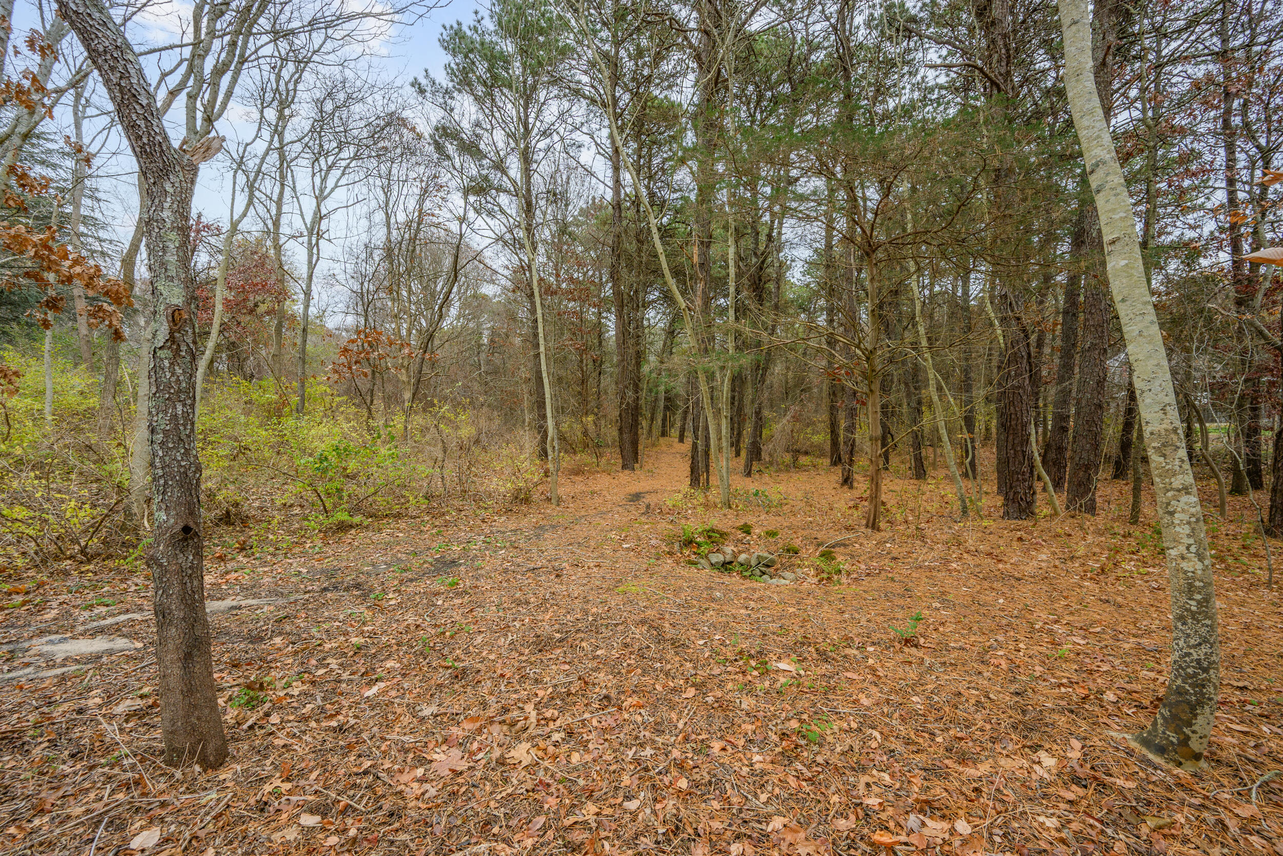 MLS #22505522 image #40