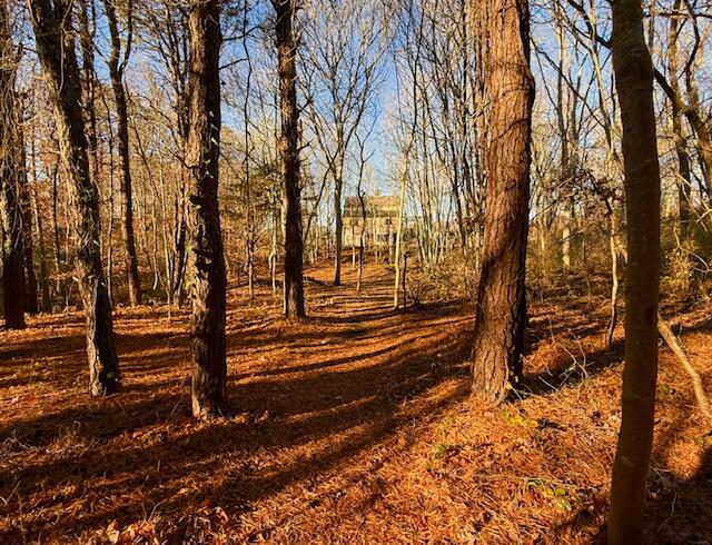 MLS #22505522 image #41