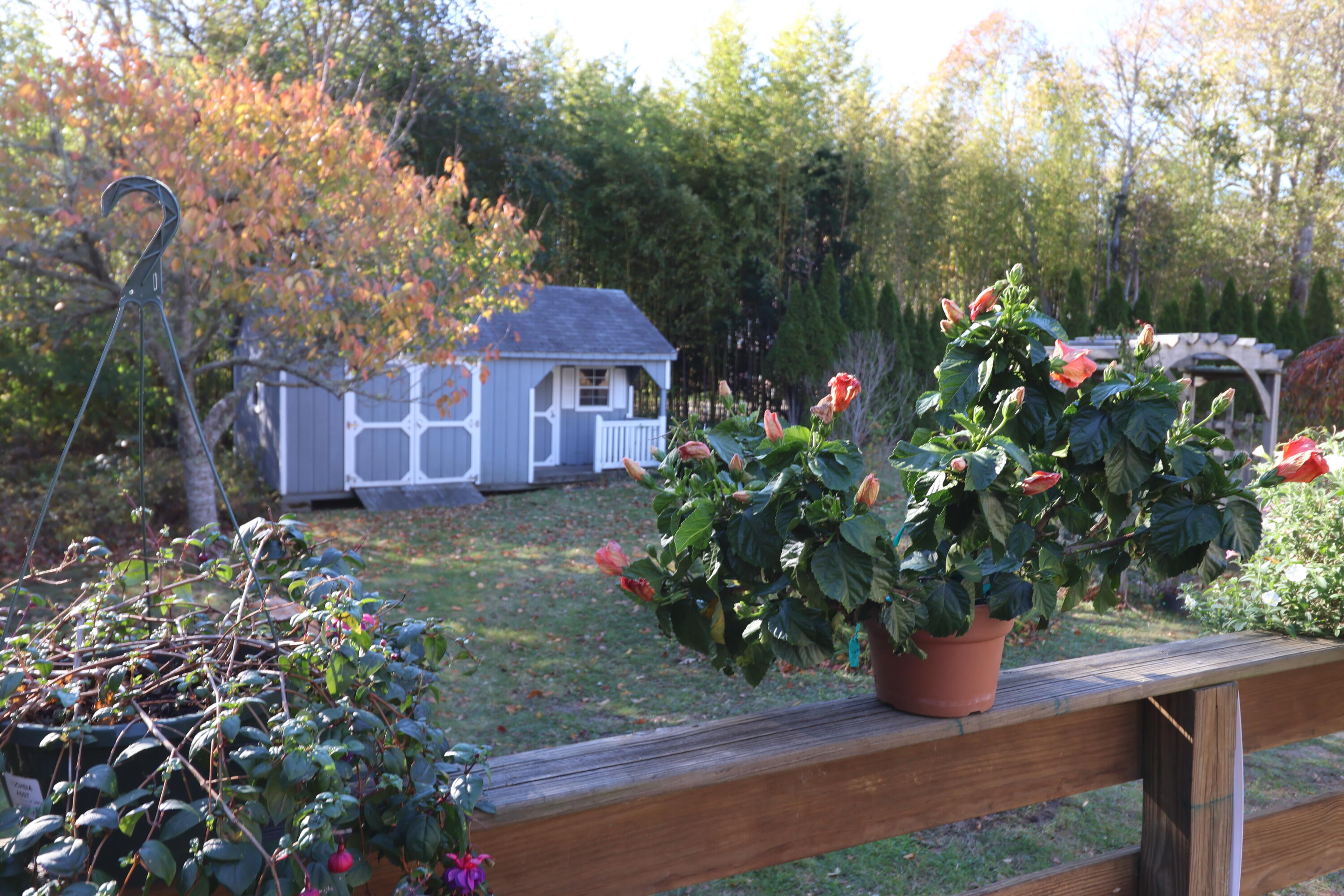 MLS #22505525 image #54