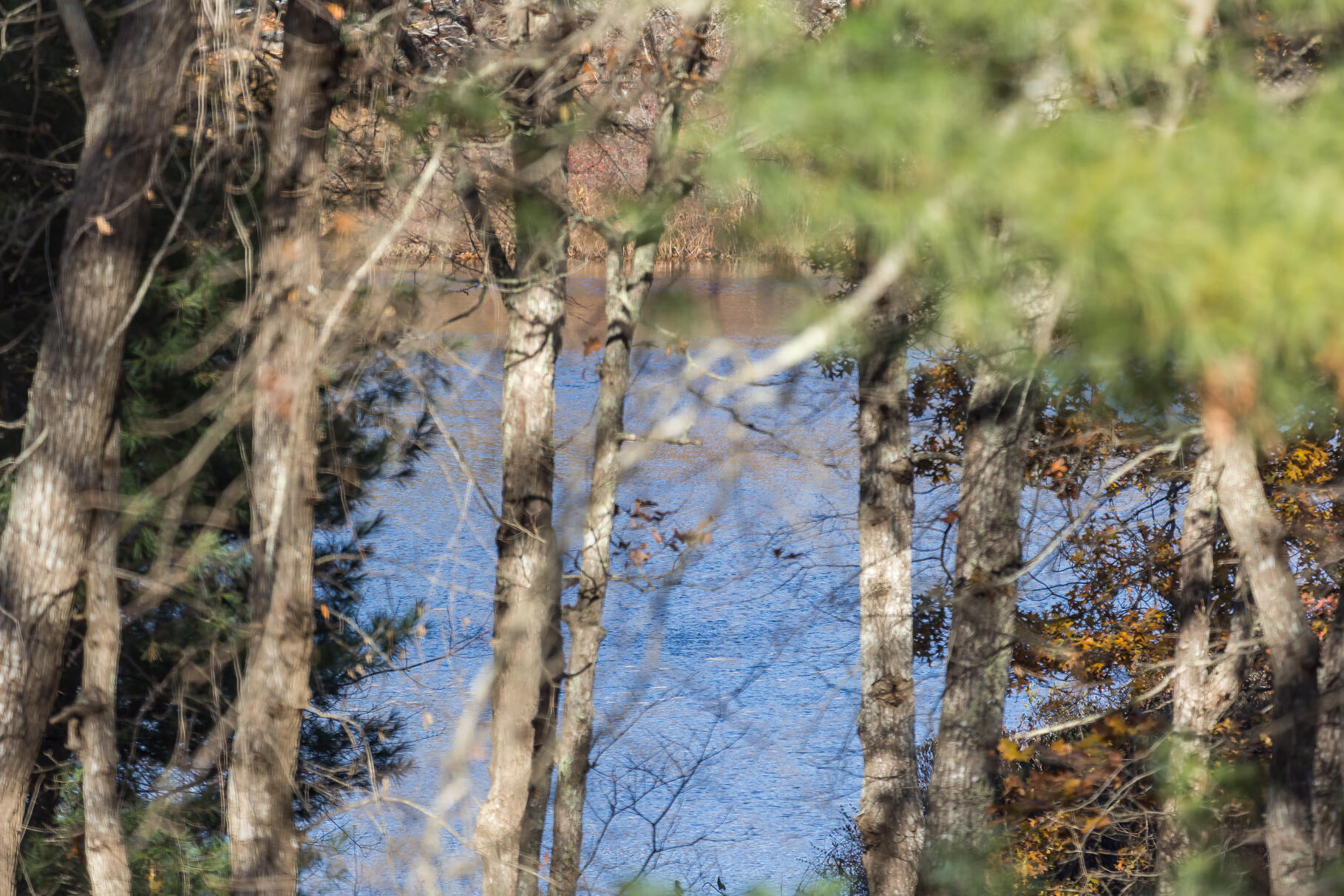 MLS #22505530 image #23