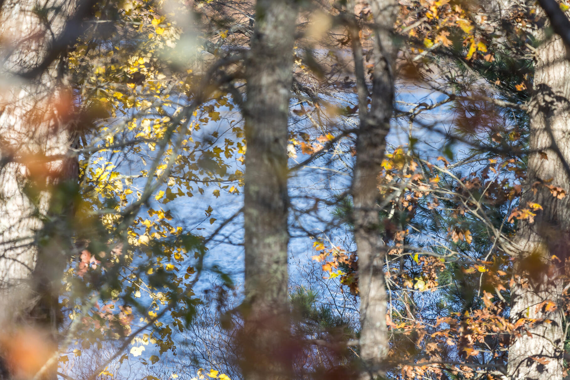 MLS #22505530 image #33