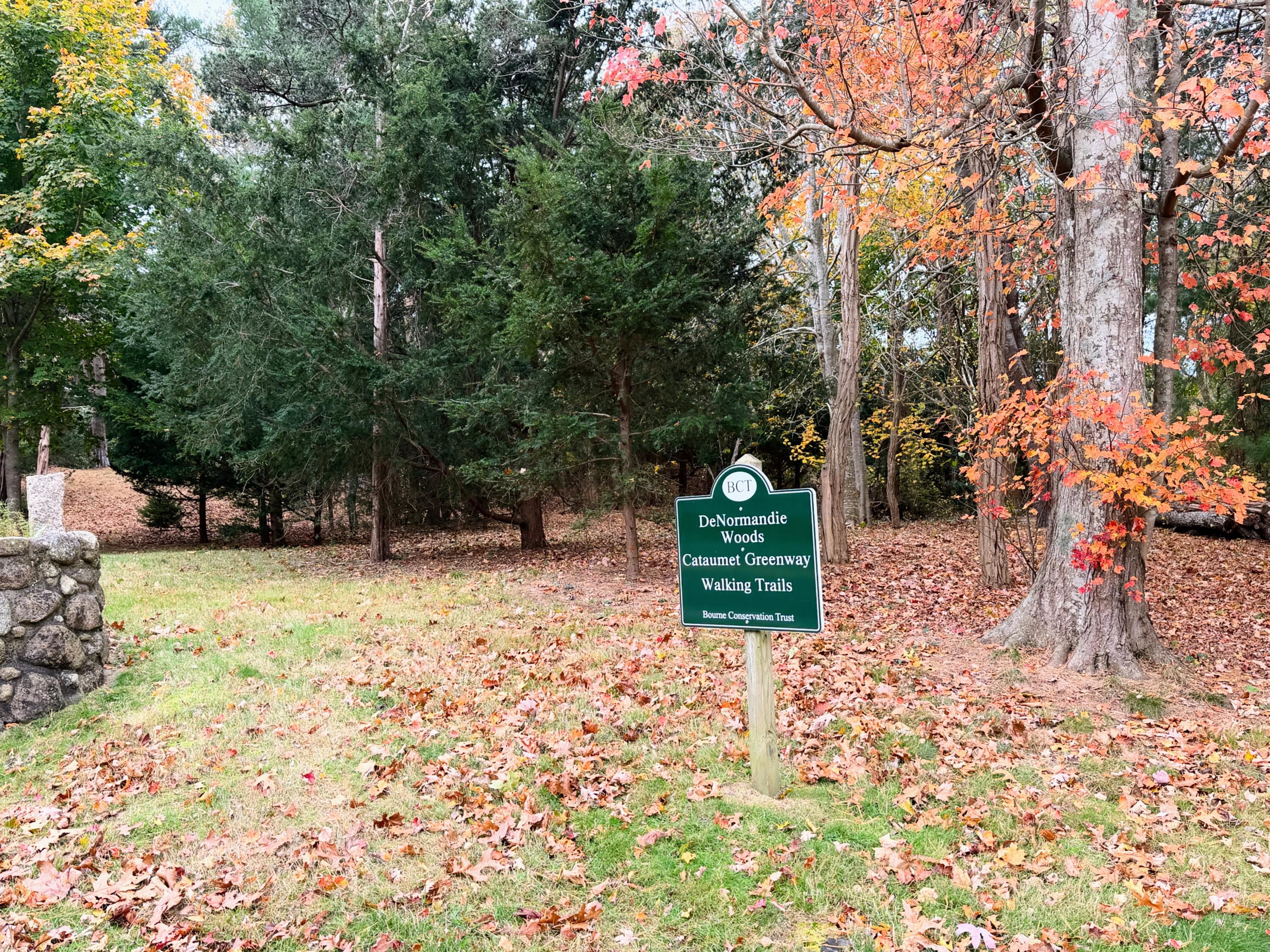 MLS #22505530 image #53