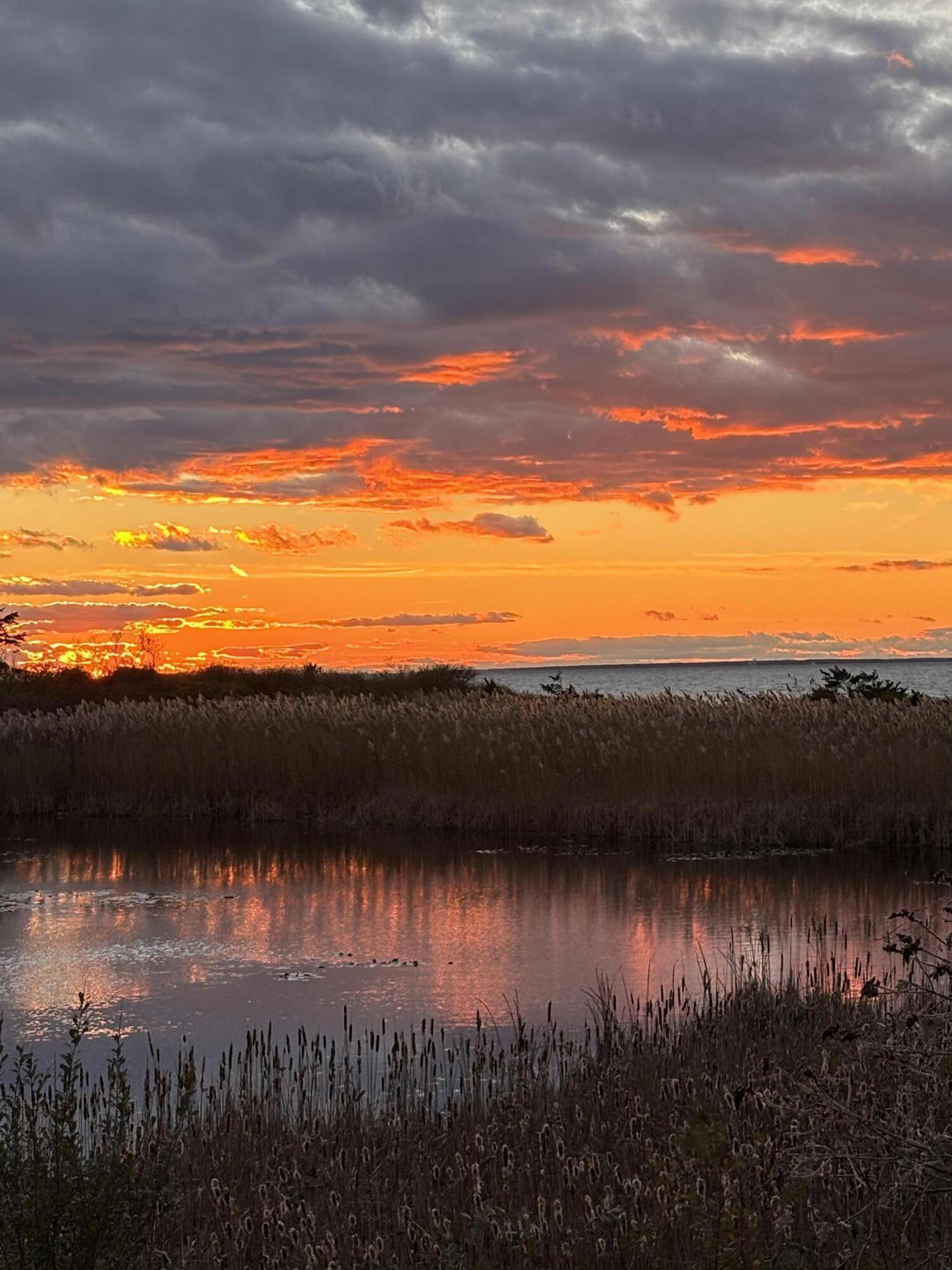 MLS #22505542 image #44