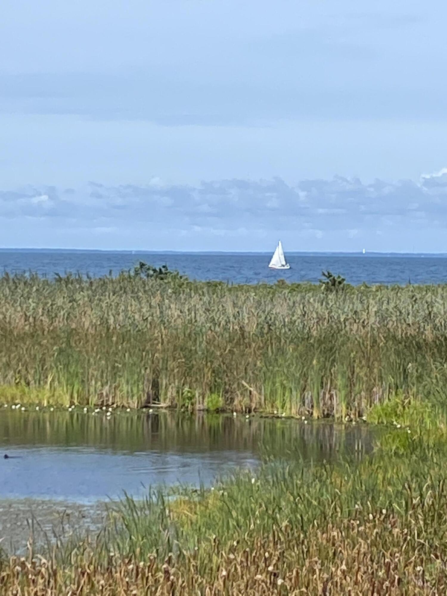 MLS #22505542 image #46