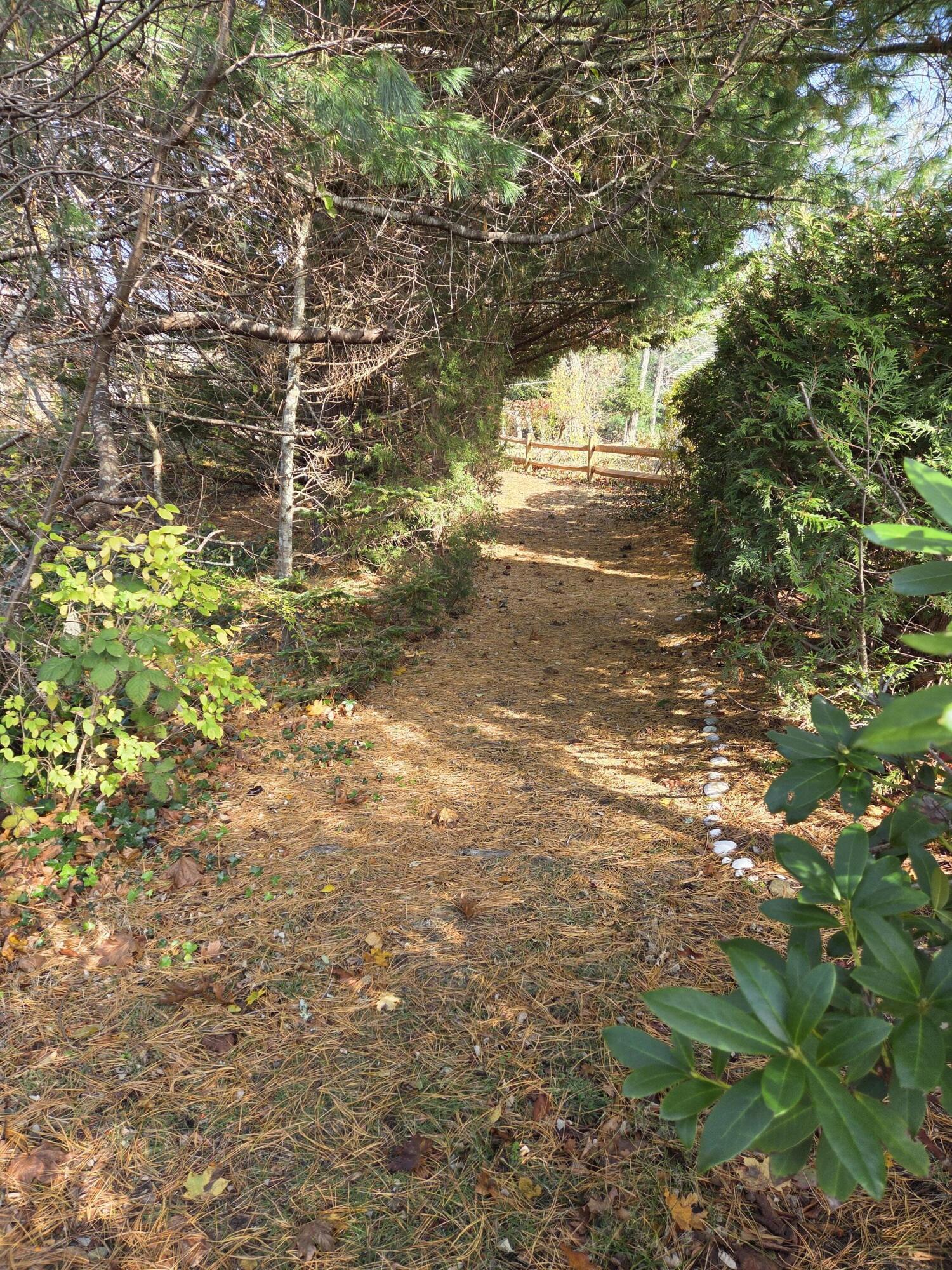 MLS #22505567 image #19