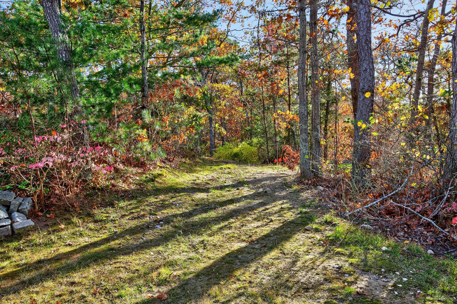 MLS #22505578 image #46