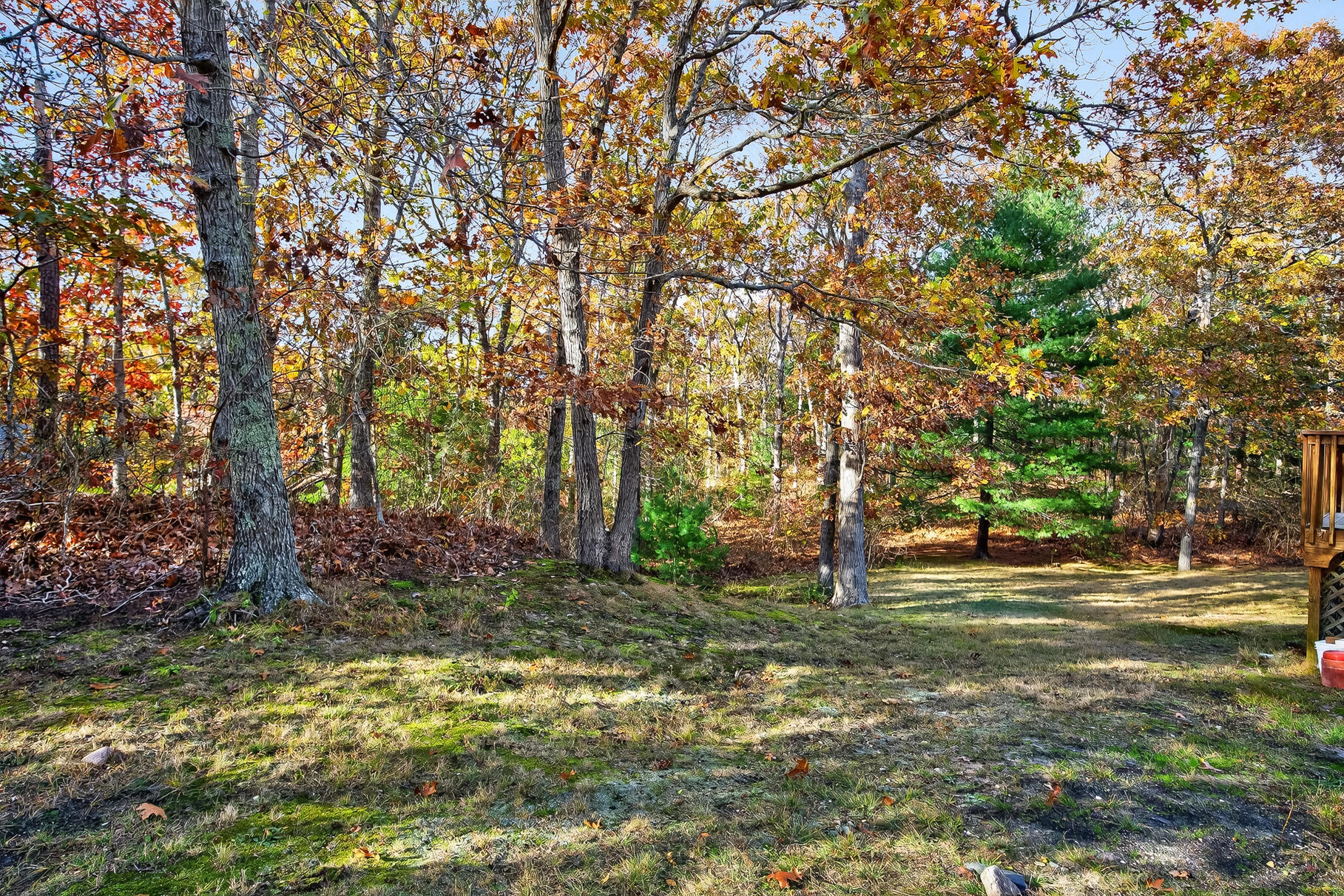 MLS #22505578 image #47