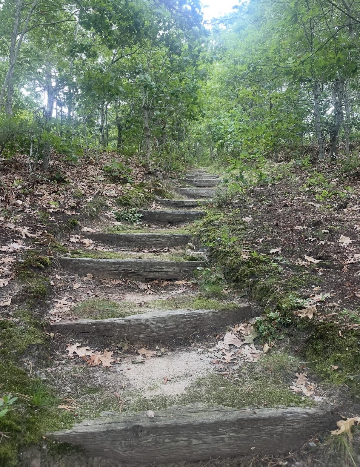 MLS #22505602 image #32