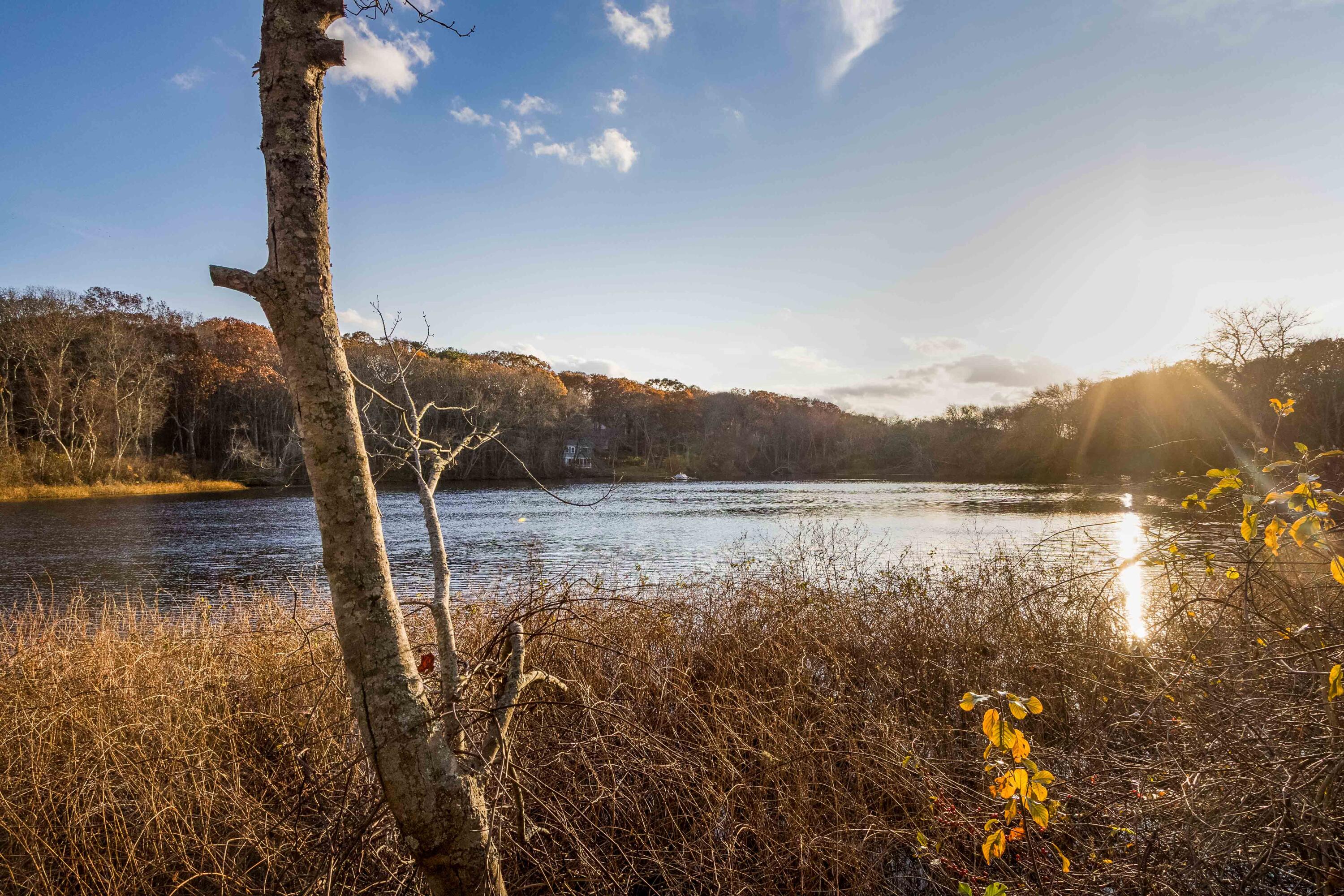 MLS #22505607 image #12