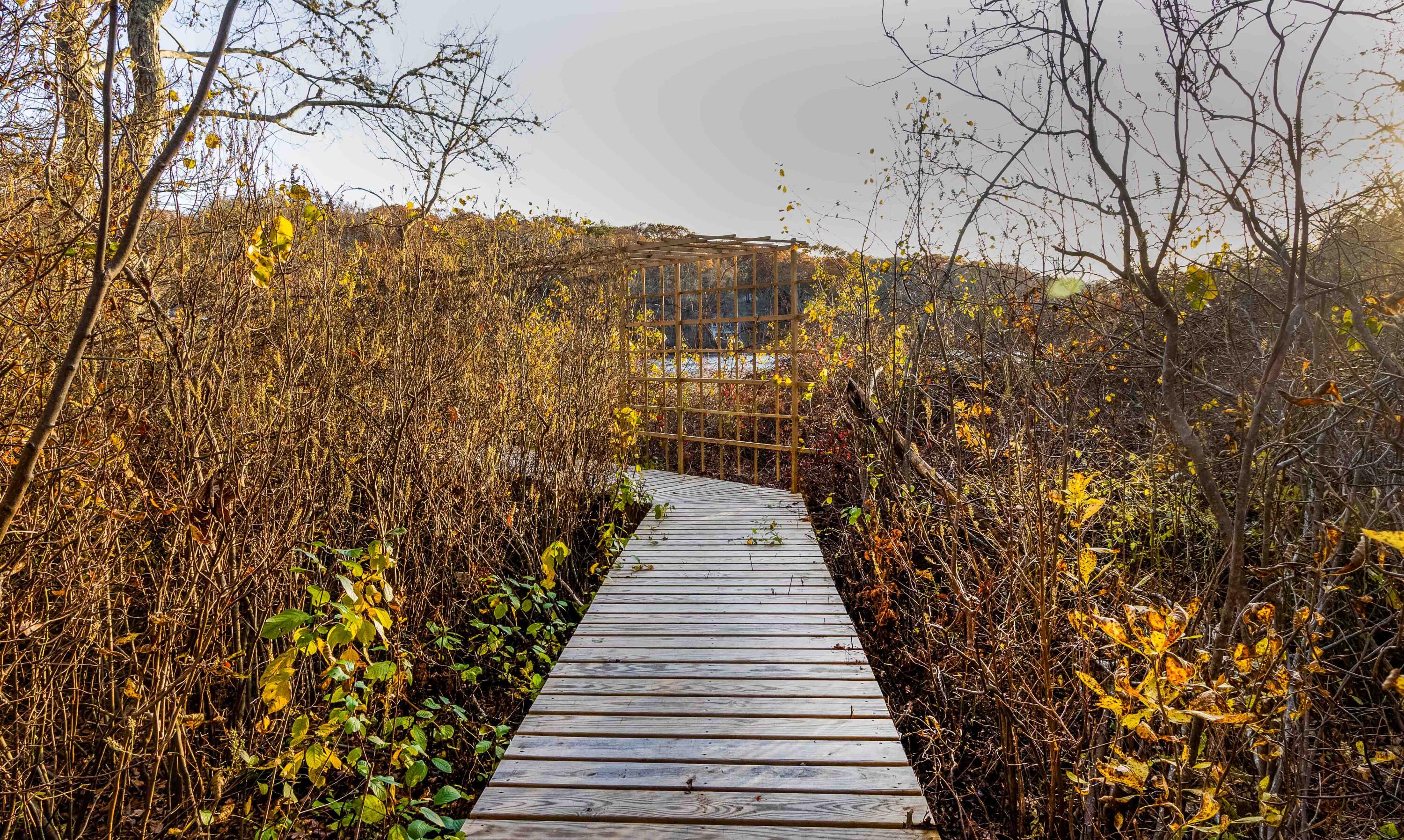 MLS #22505607 image #13