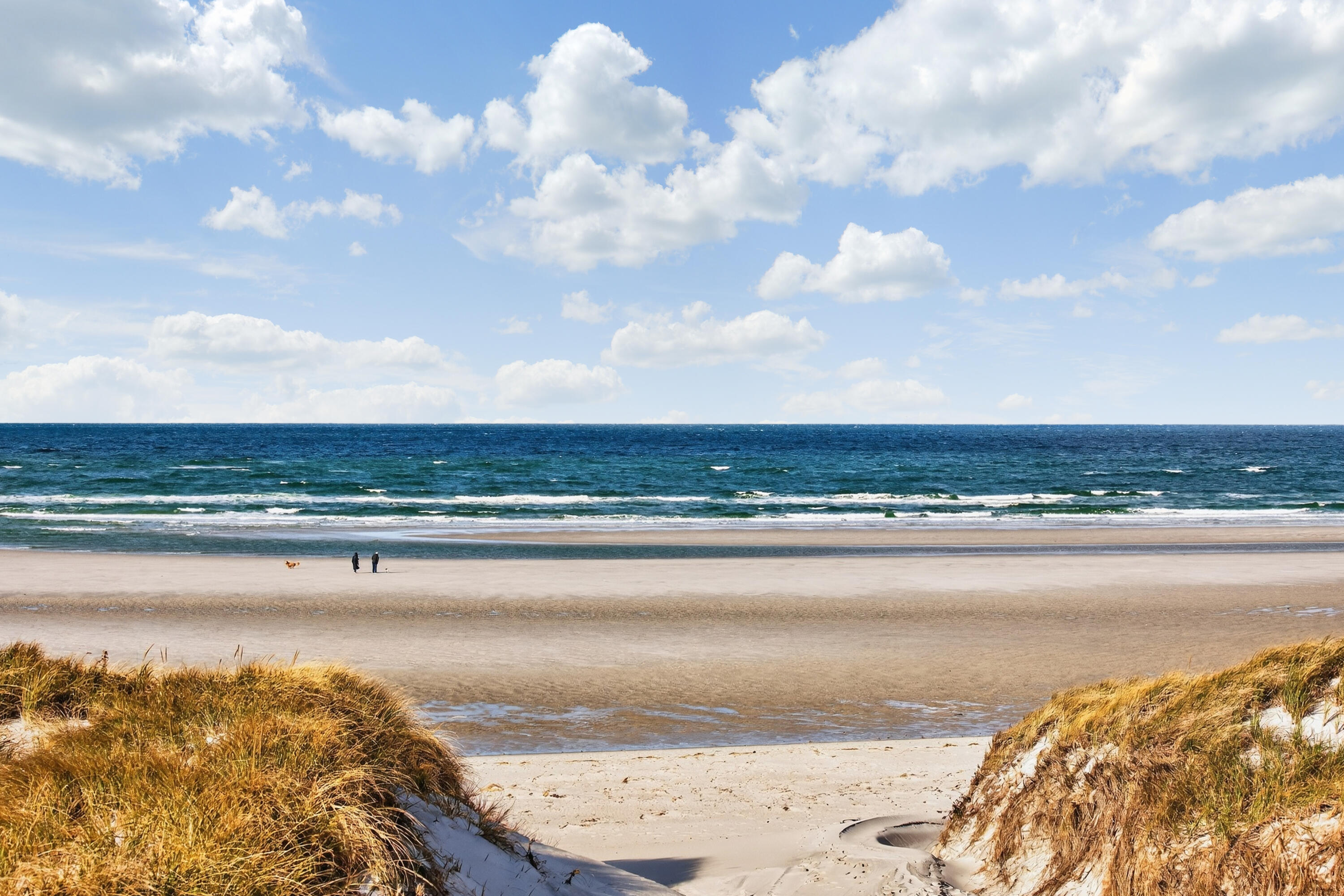 MLS #22505608 image #53