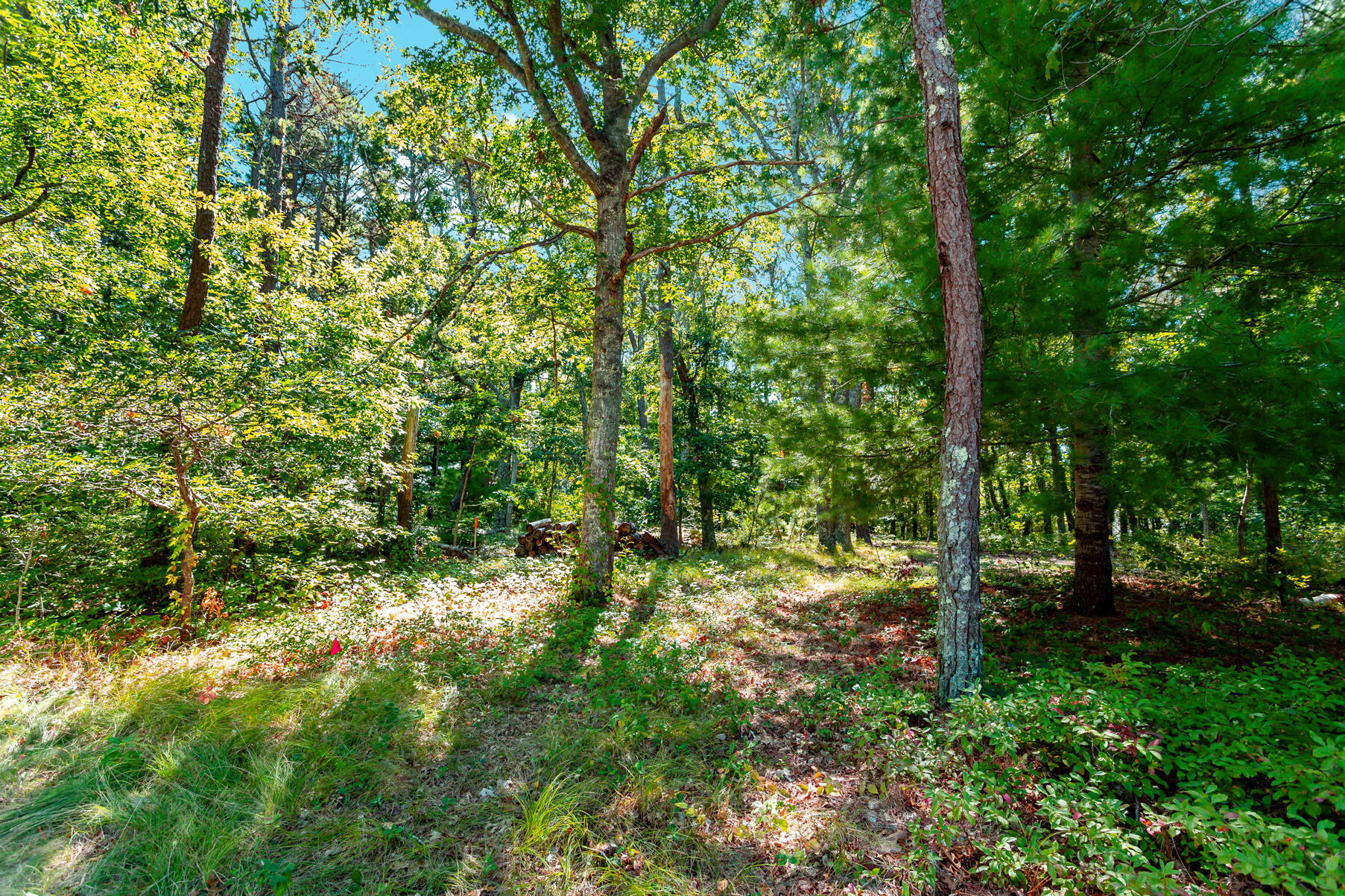 MLS #22505610 image #32