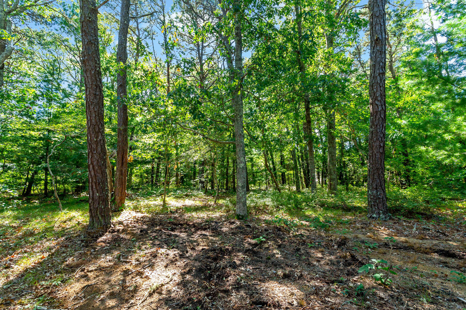 MLS #22505610 image #33