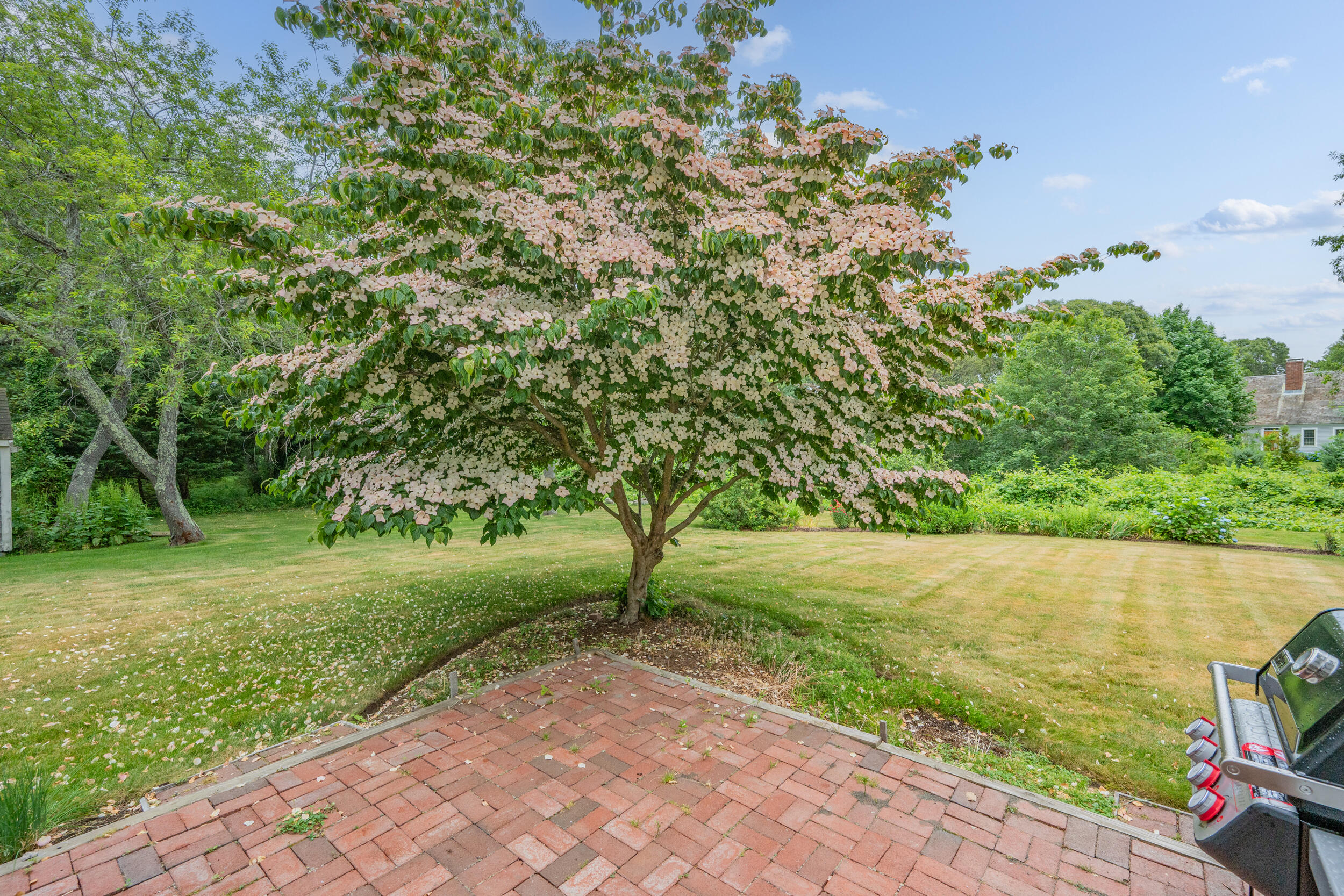 MLS #22505636 image #44