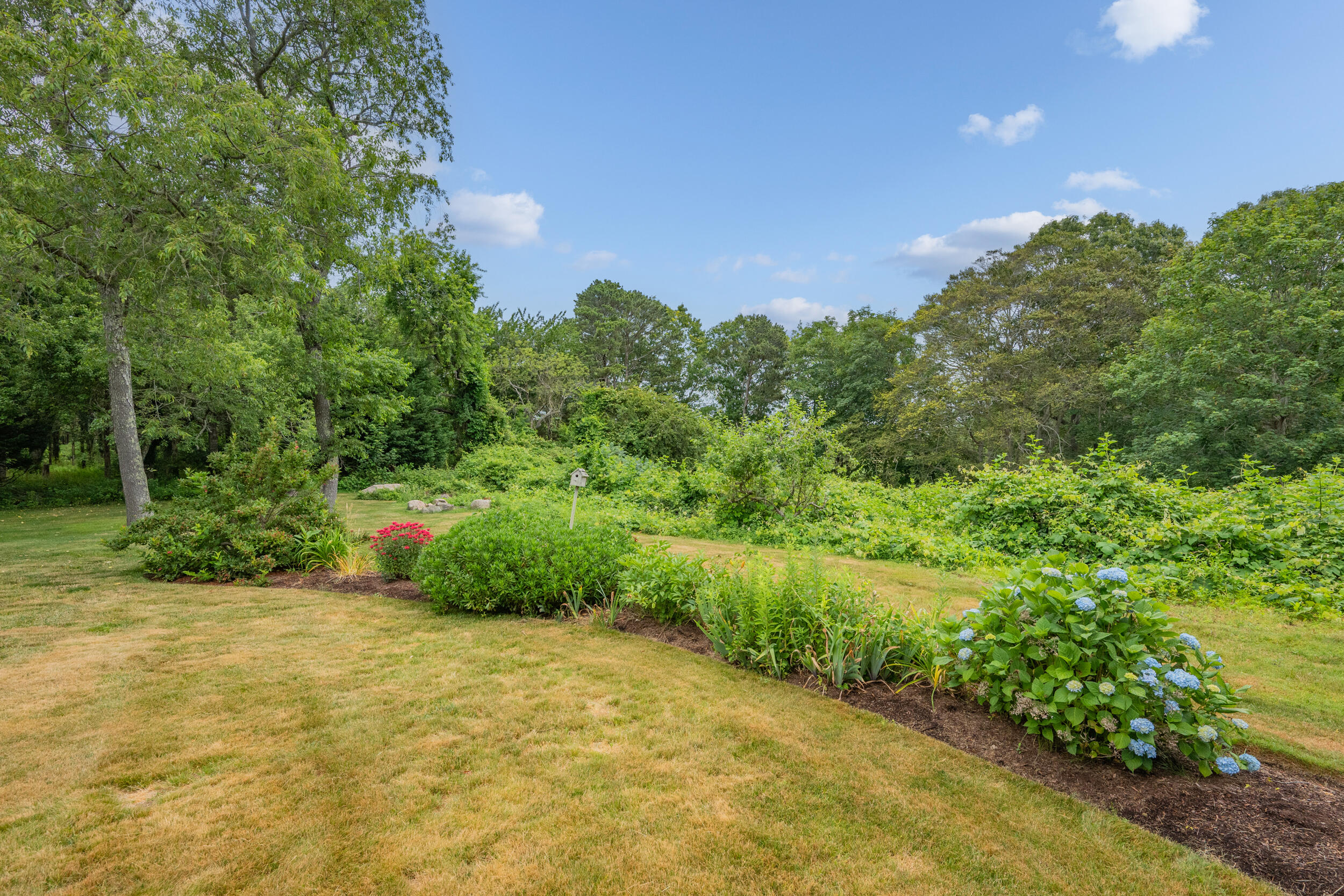 MLS #22505636 image #50