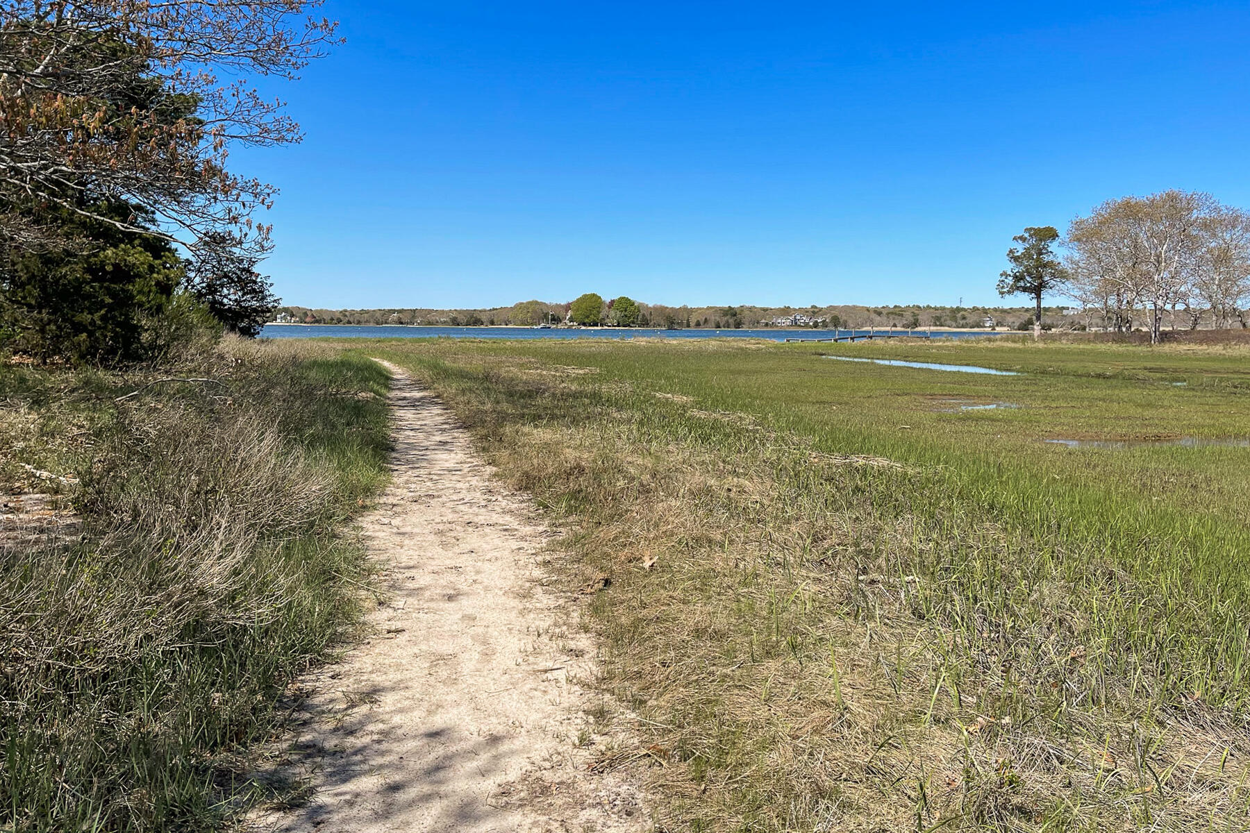 MLS #22505663 image #4