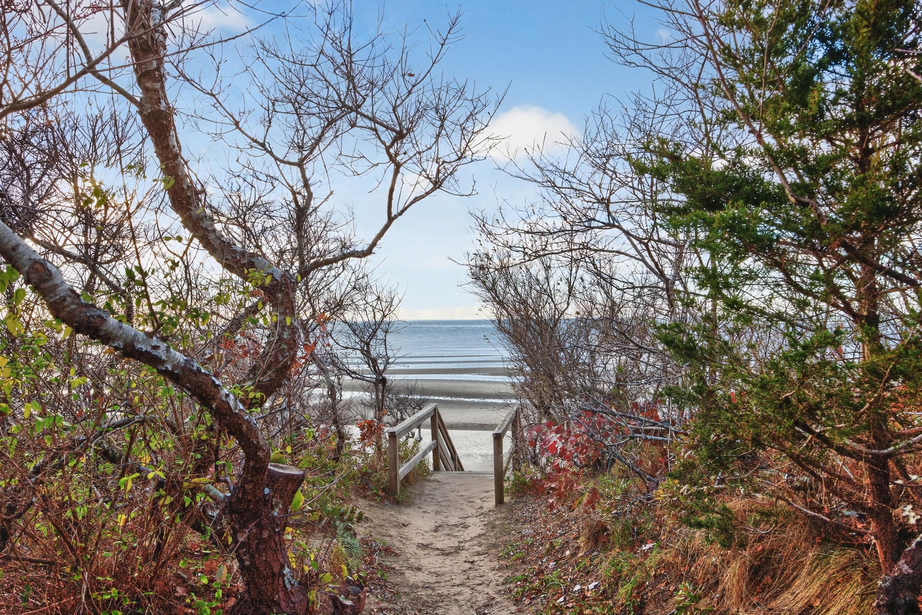 MLS #22505680 image #4