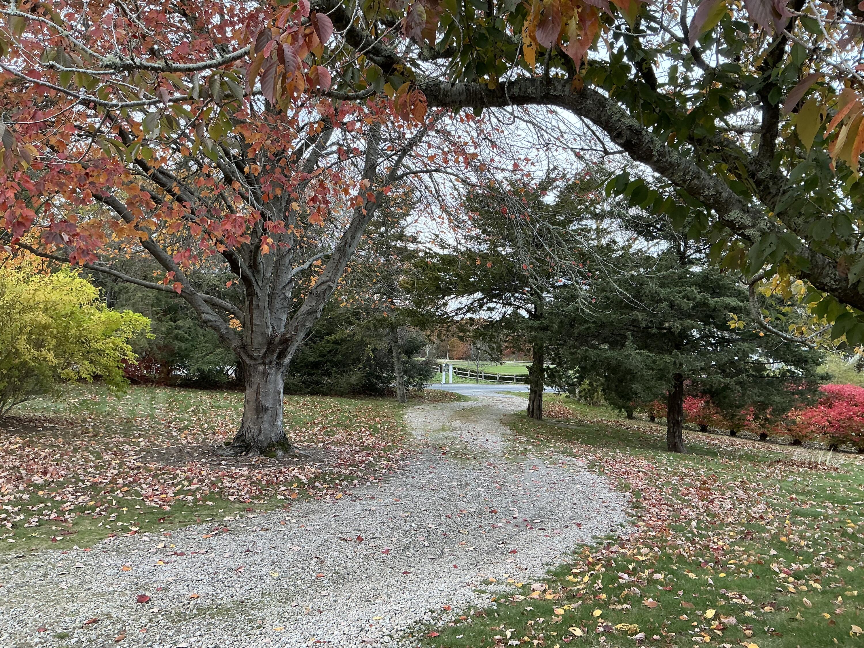 MLS #22505684 image #1