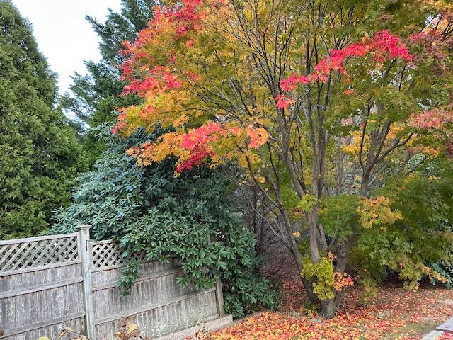 MLS #22505684 image #44