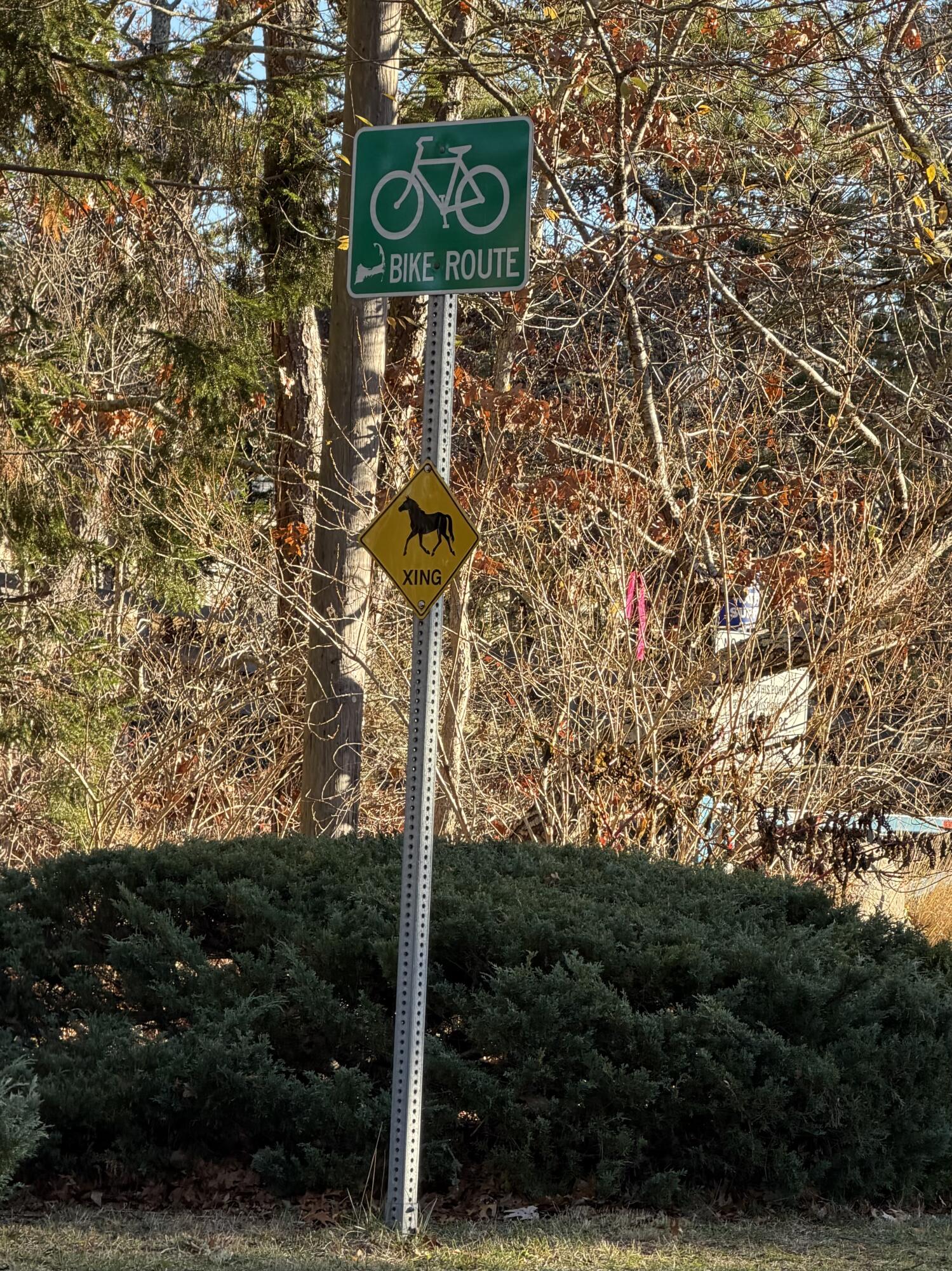 MLS #22505697 image #26