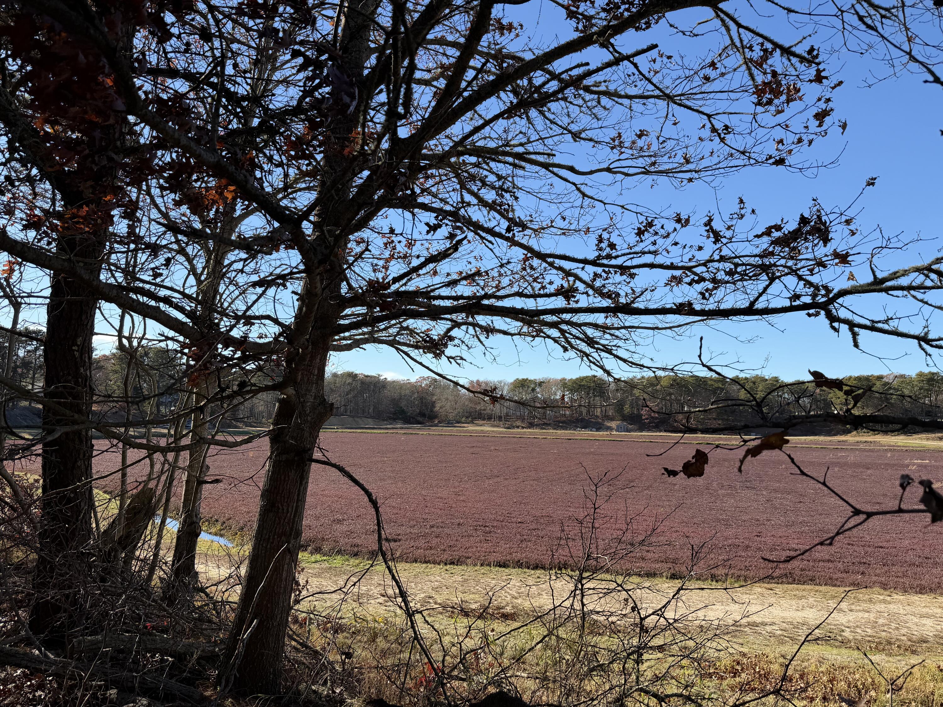 MLS #22505697 image #29