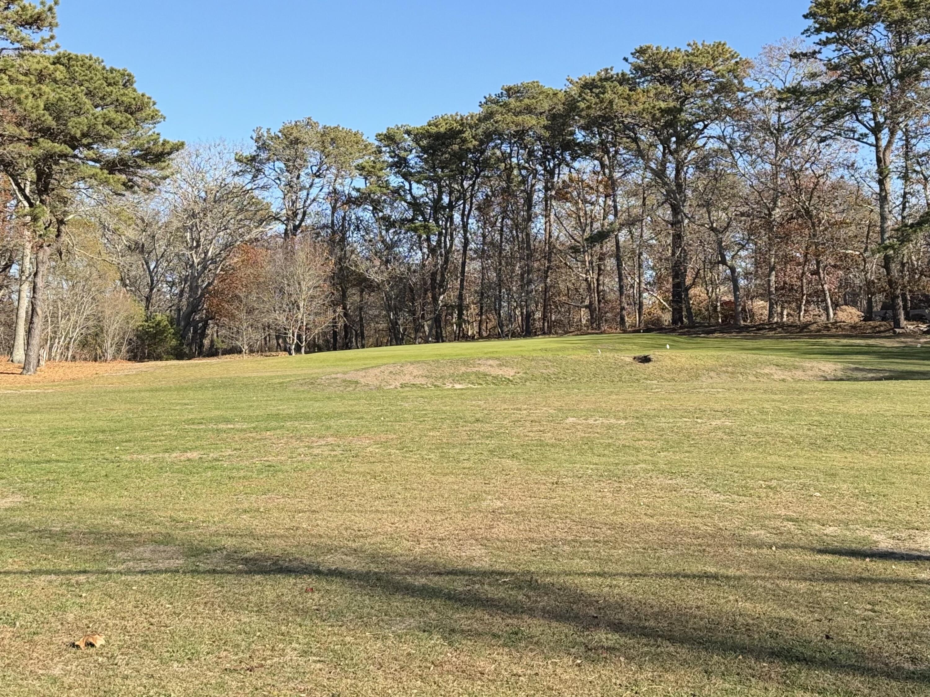 MLS #22505697 image #32